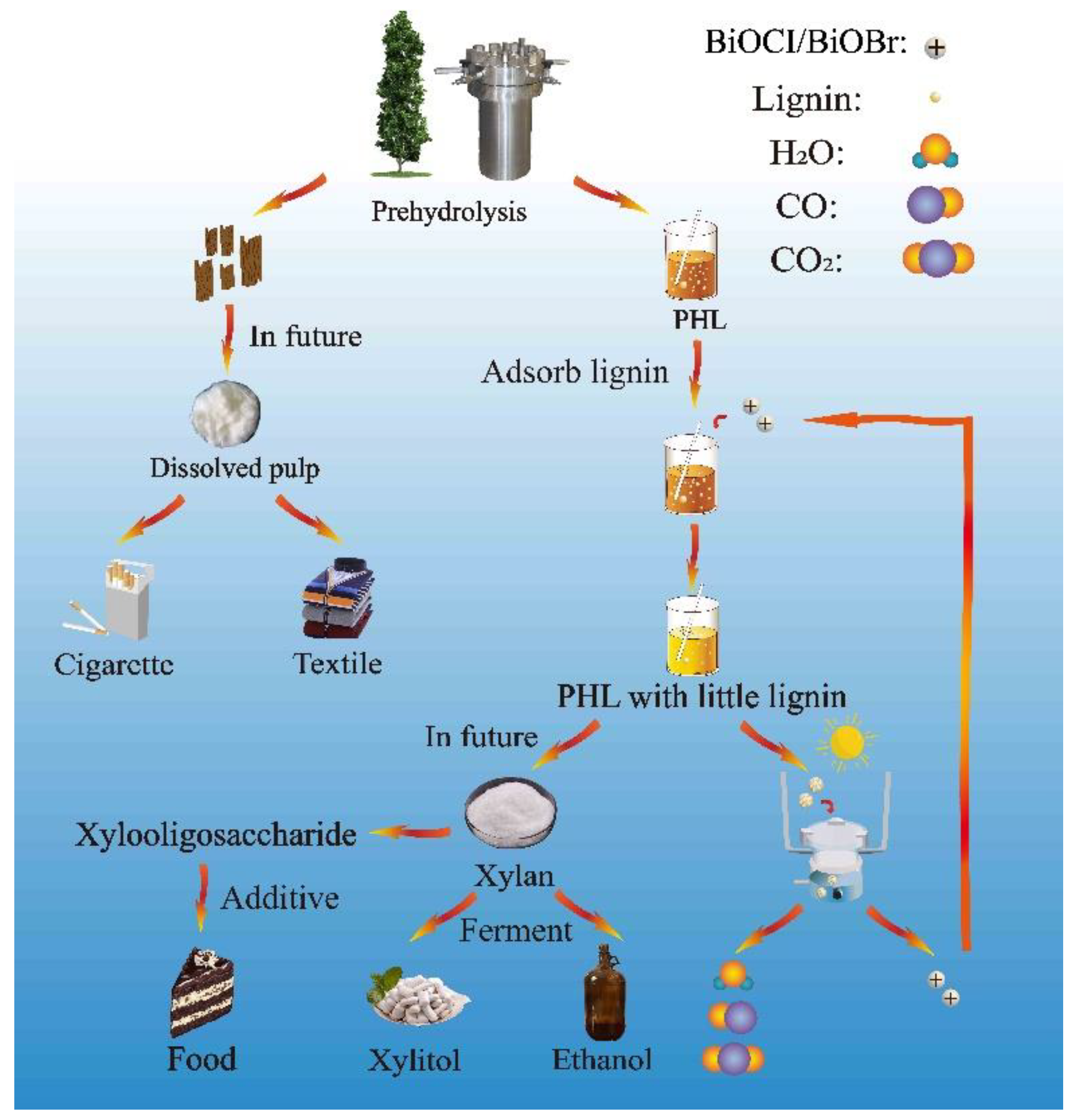 Nanomaterials 11 02836 g001 550