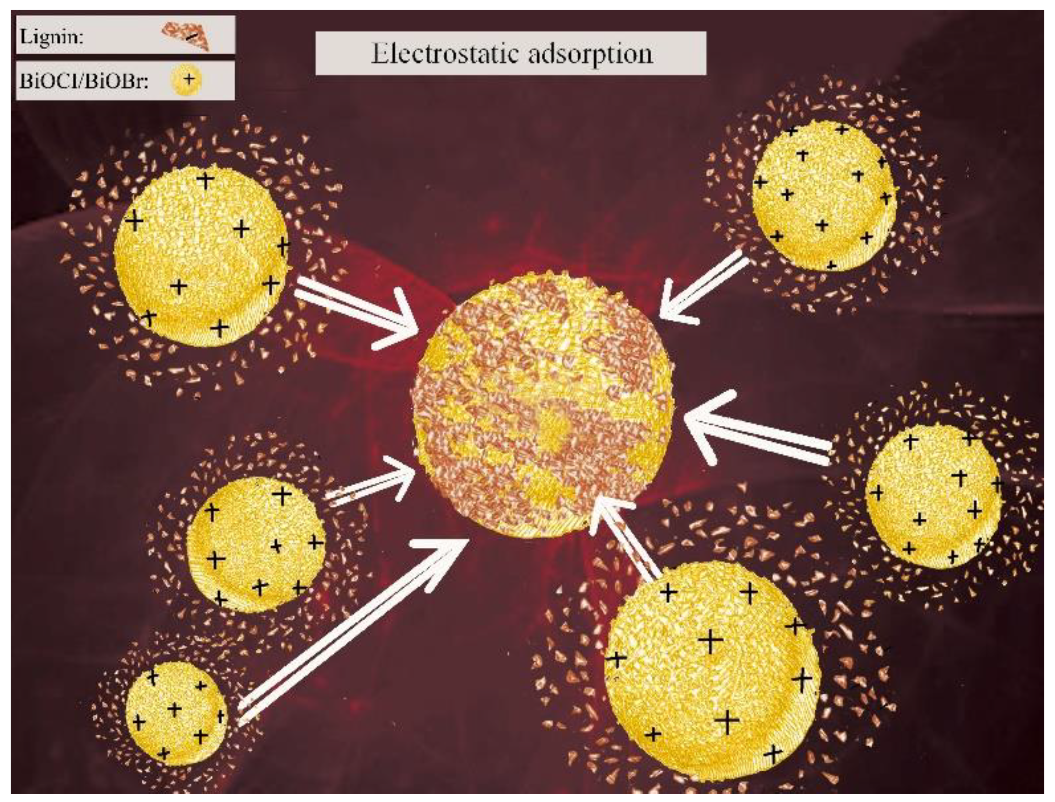 Nanomaterials 11 02836 g004 550