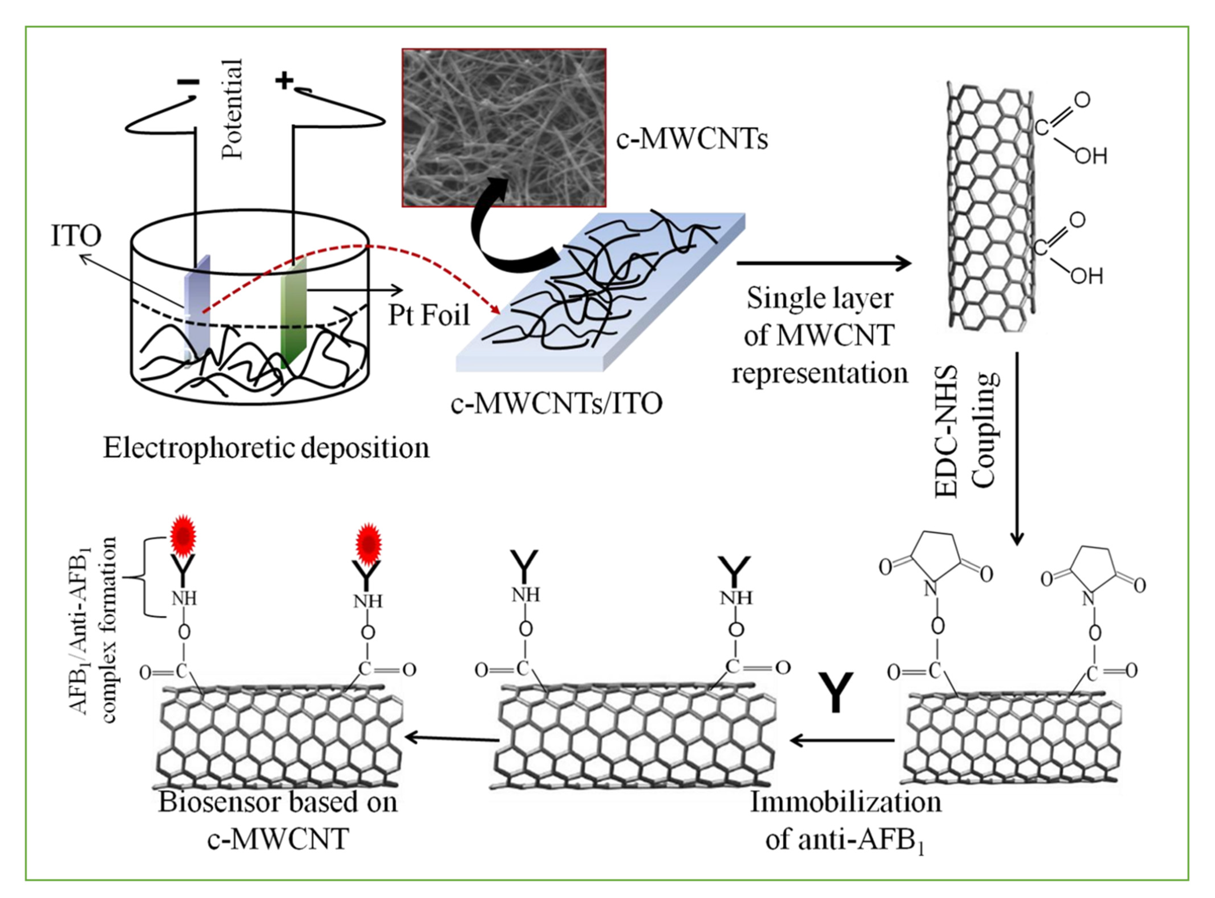 Nanomaterials 11 02851 g002