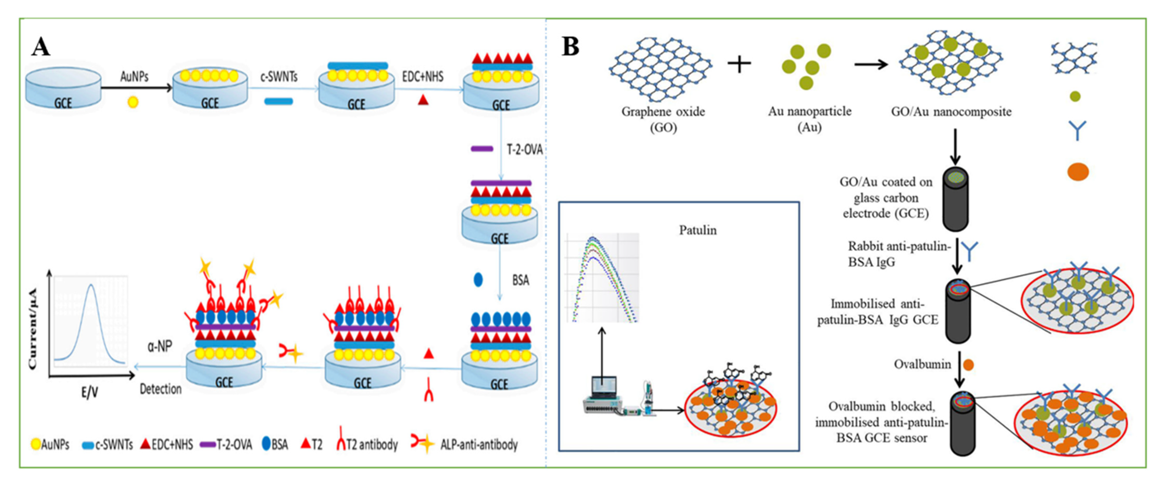 Nanomaterials 11 02851 g004