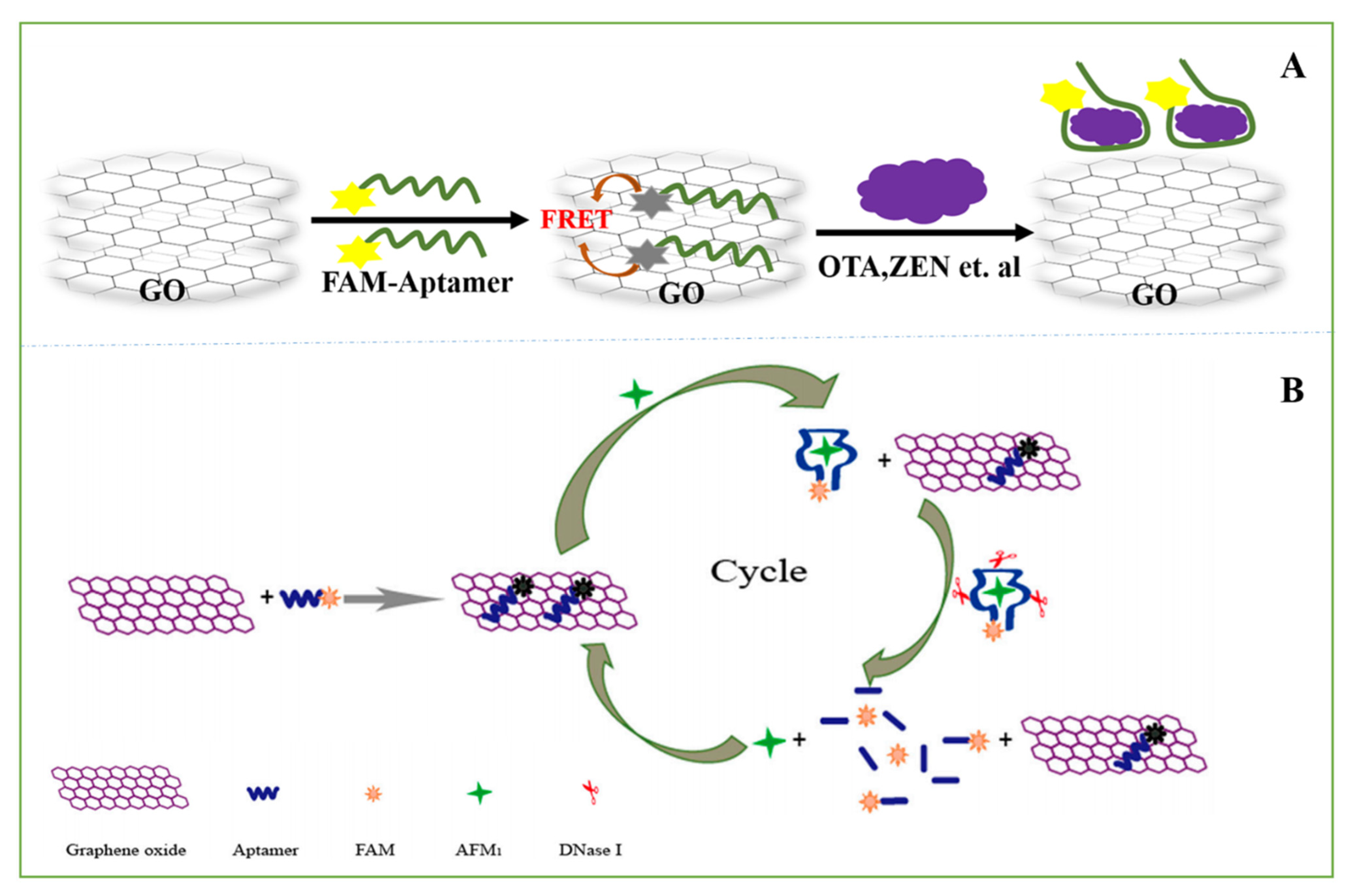 Nanomaterials 11 02851 g005