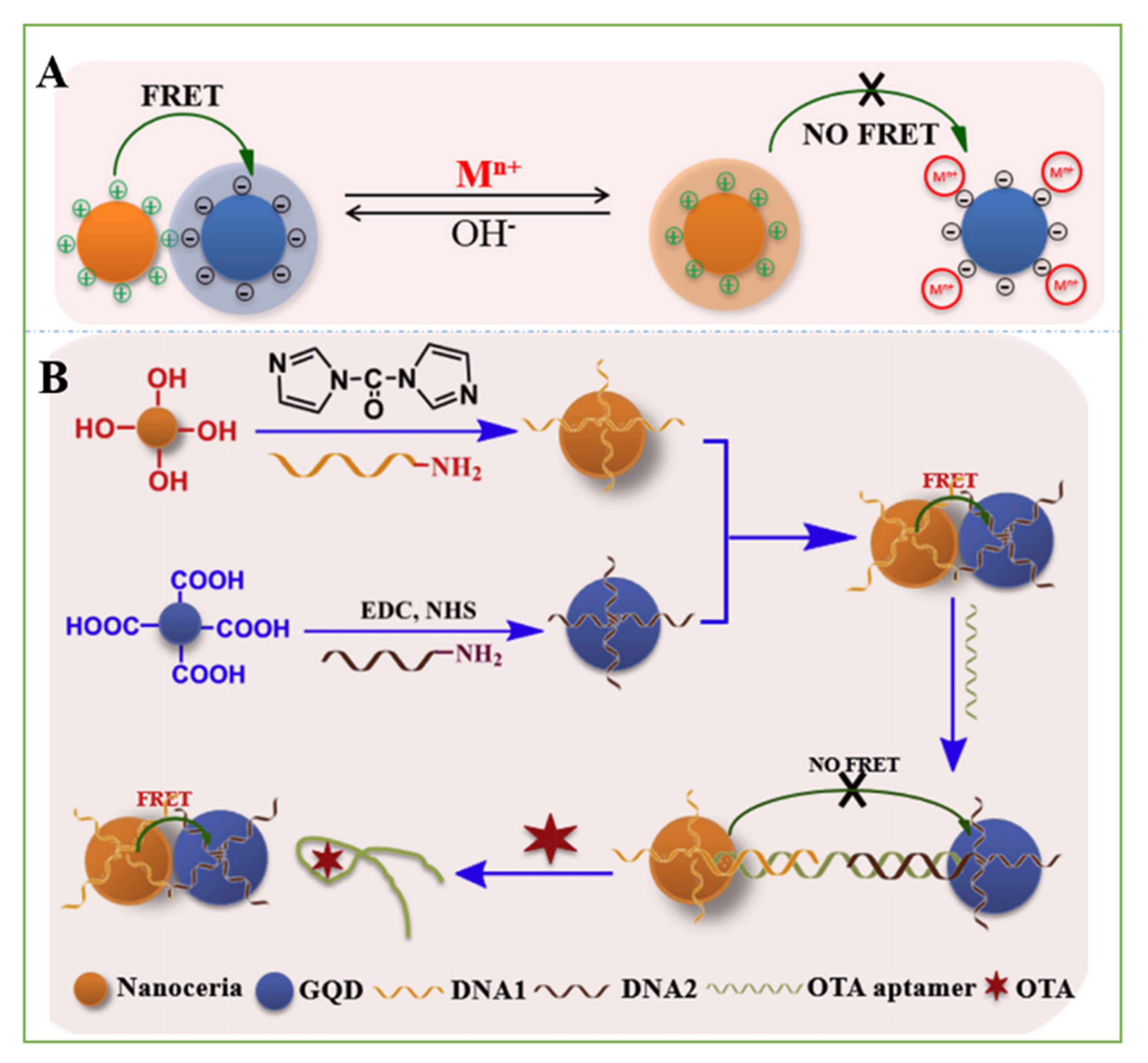 Nanomaterials 11 02851 g006