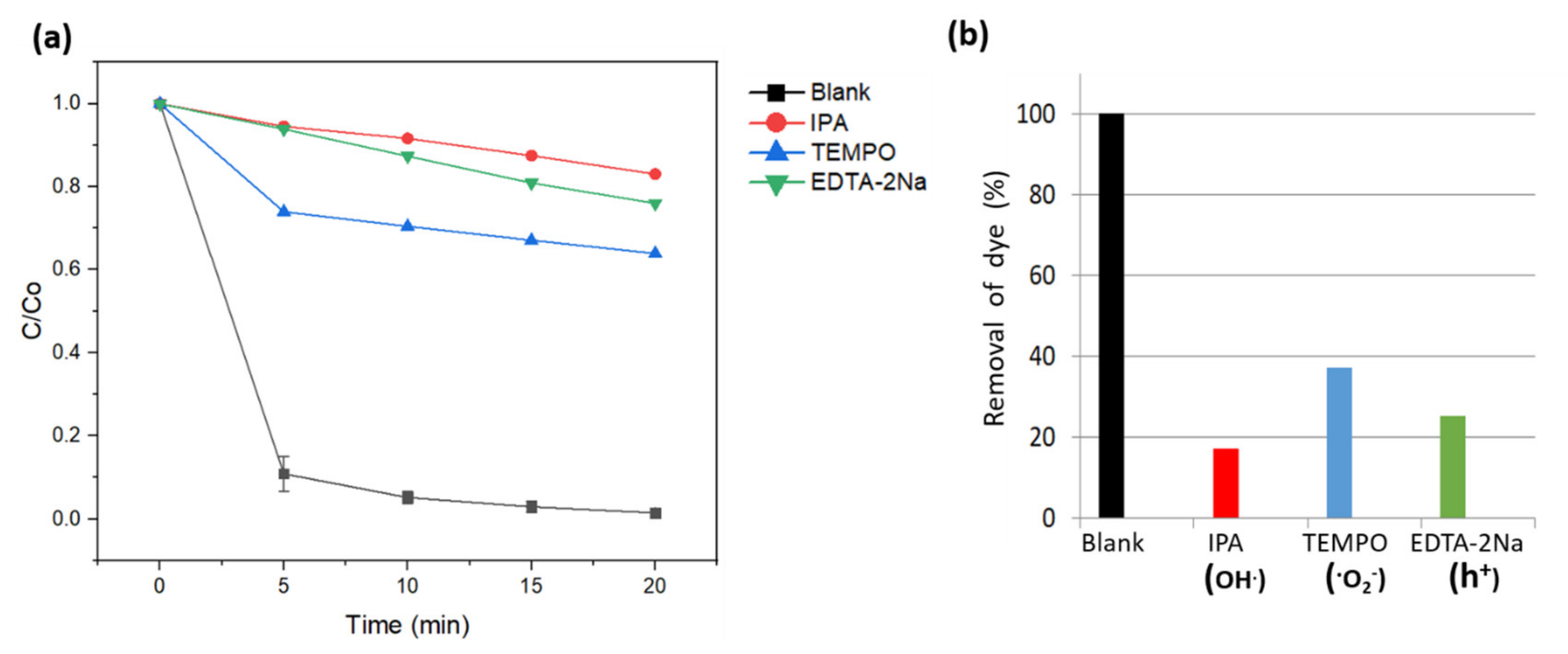 Nanomaterials 11 02853 g008