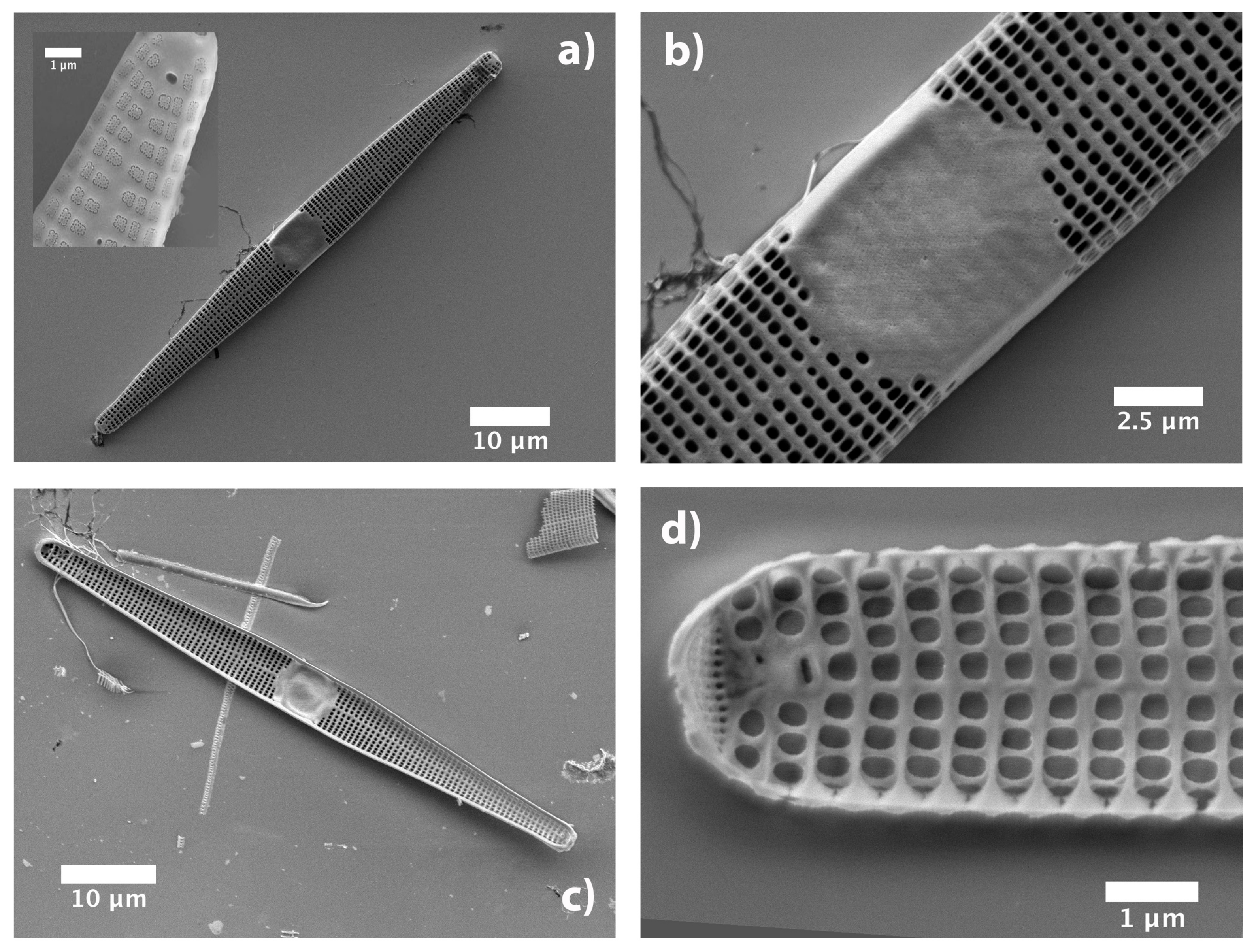 Nanomaterials 11 02855 g001 Nanomaterials 11 02855 g001