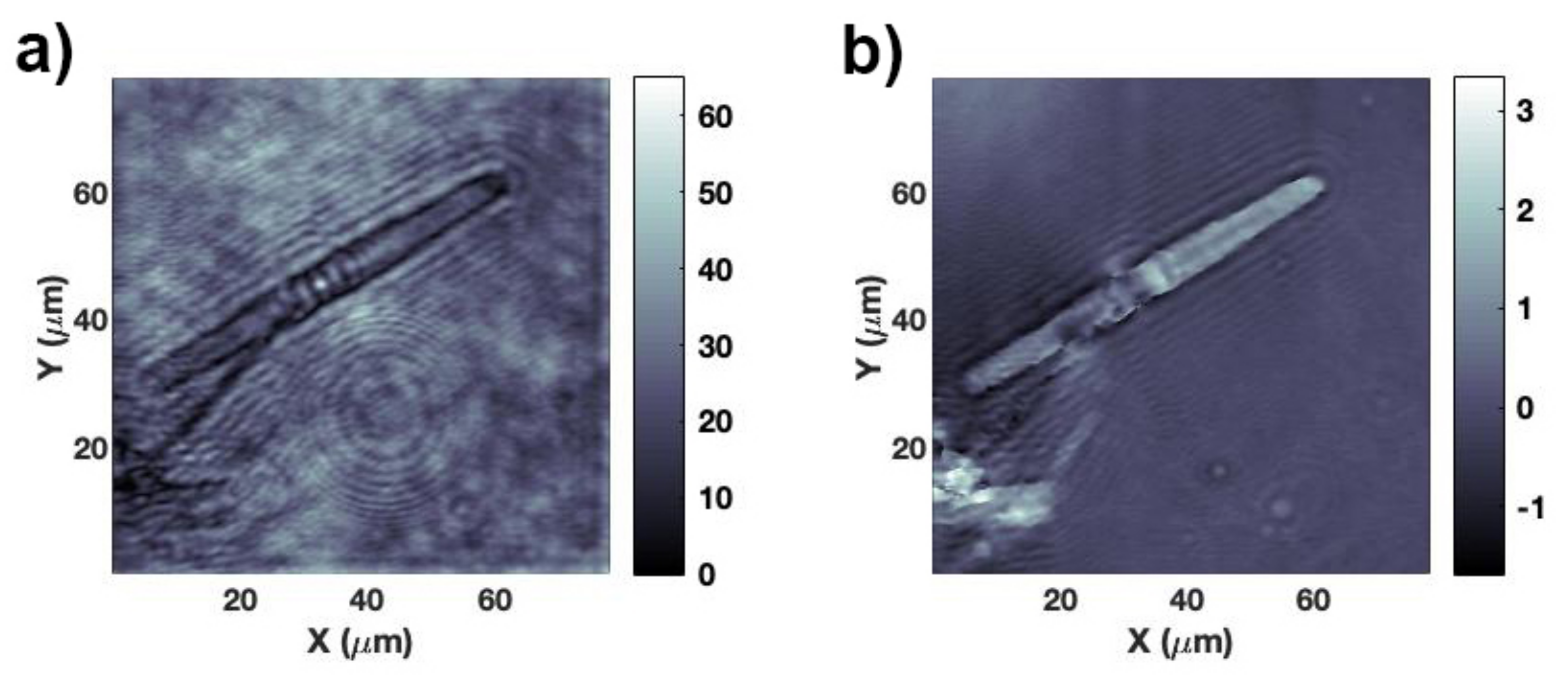 Nanomaterials 11 02855 g006 Nanomaterials 11 02855 g006