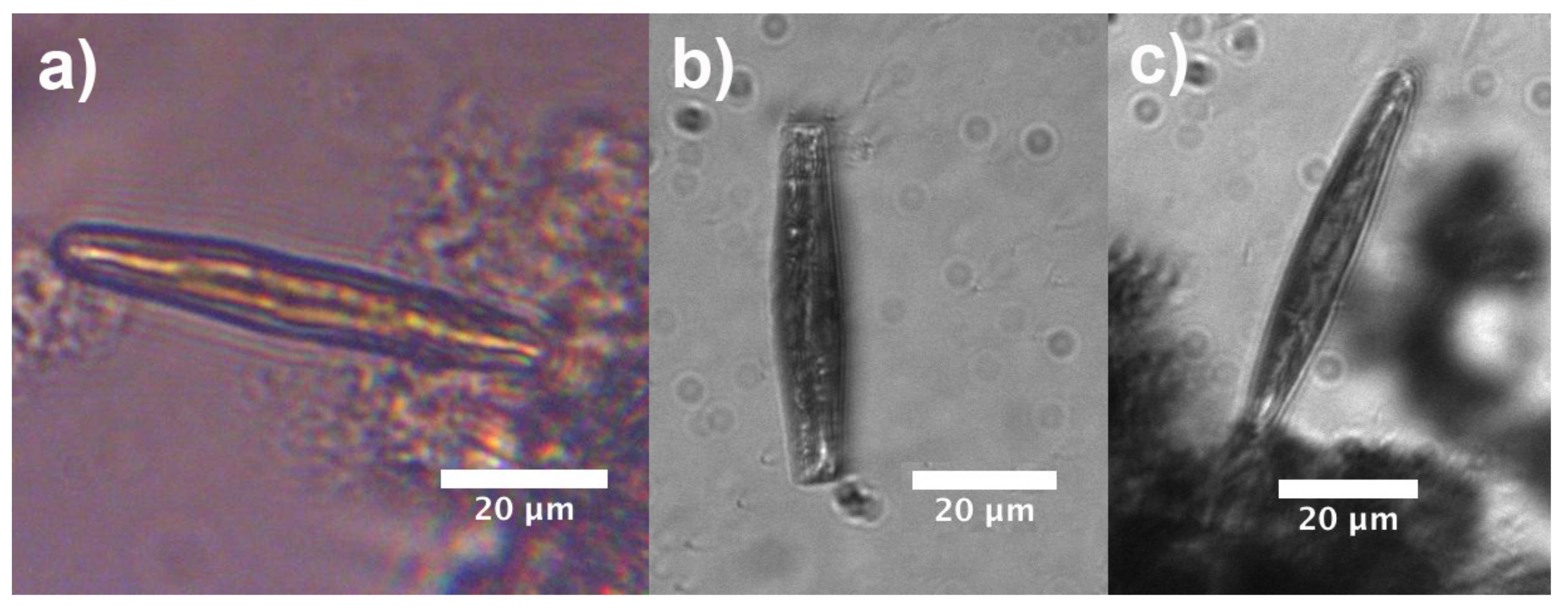 Nanomaterials 11 02855 g010 Nanomaterials 11 02855 g010