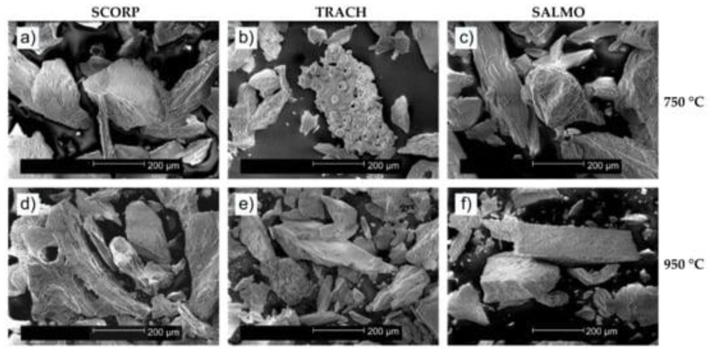Nanomaterials 11 02856 g003