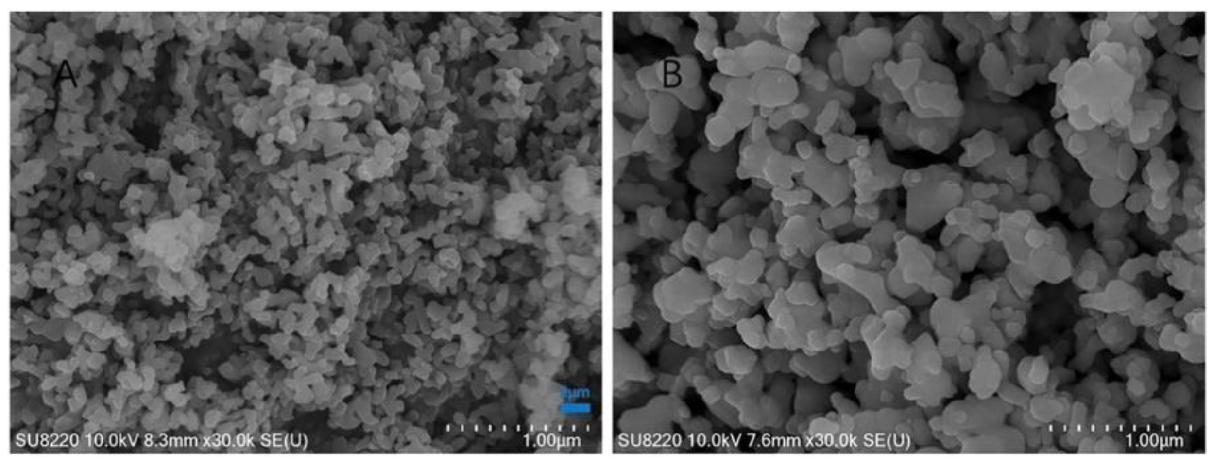 Nanomaterials 11 02856 g006
