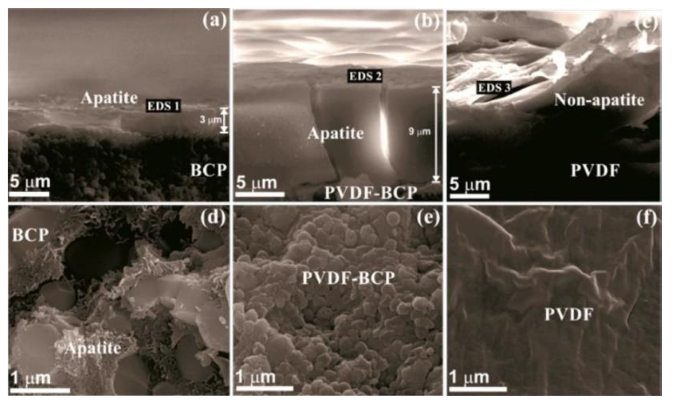 Nanomaterials 11 02856 g007