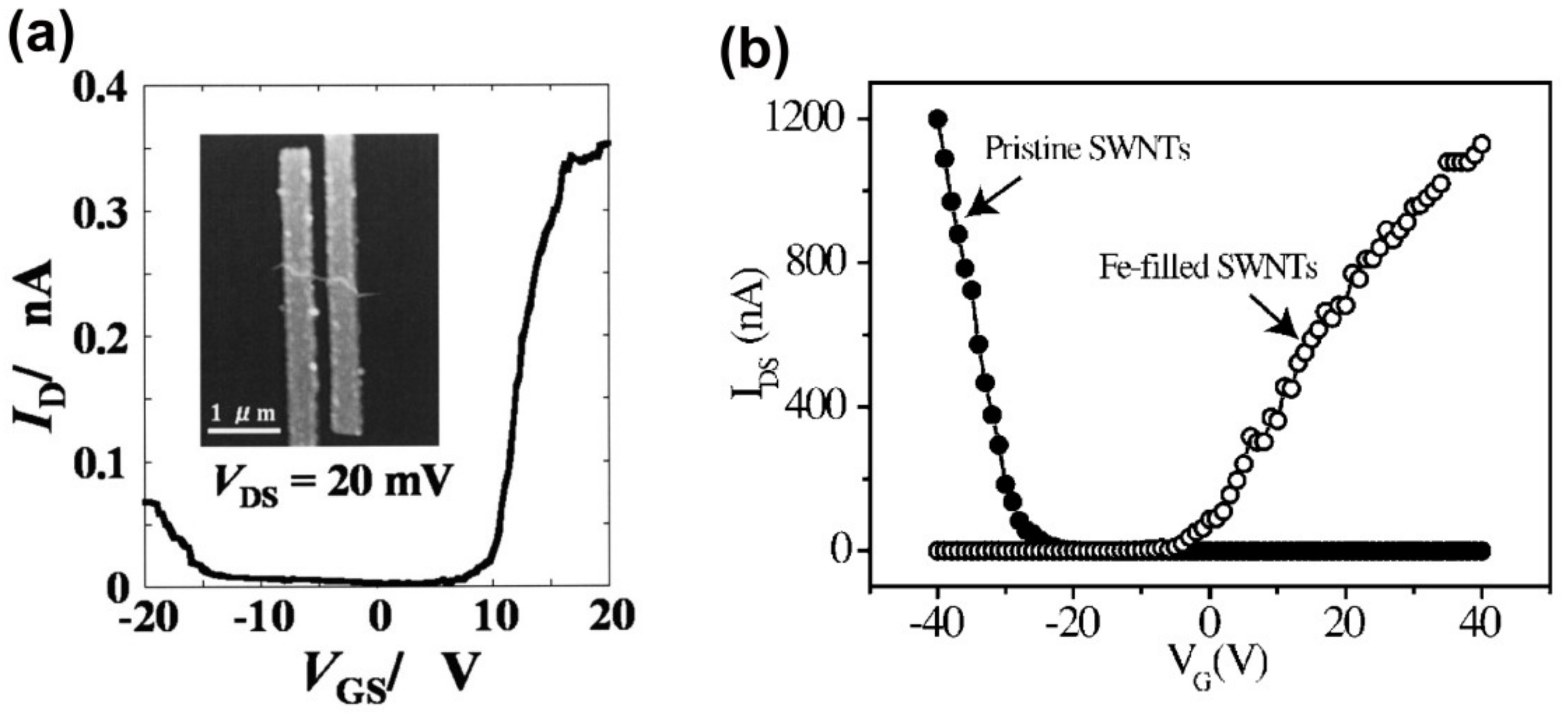 Applications of Filled Single-Walled Carbon Nanotubes