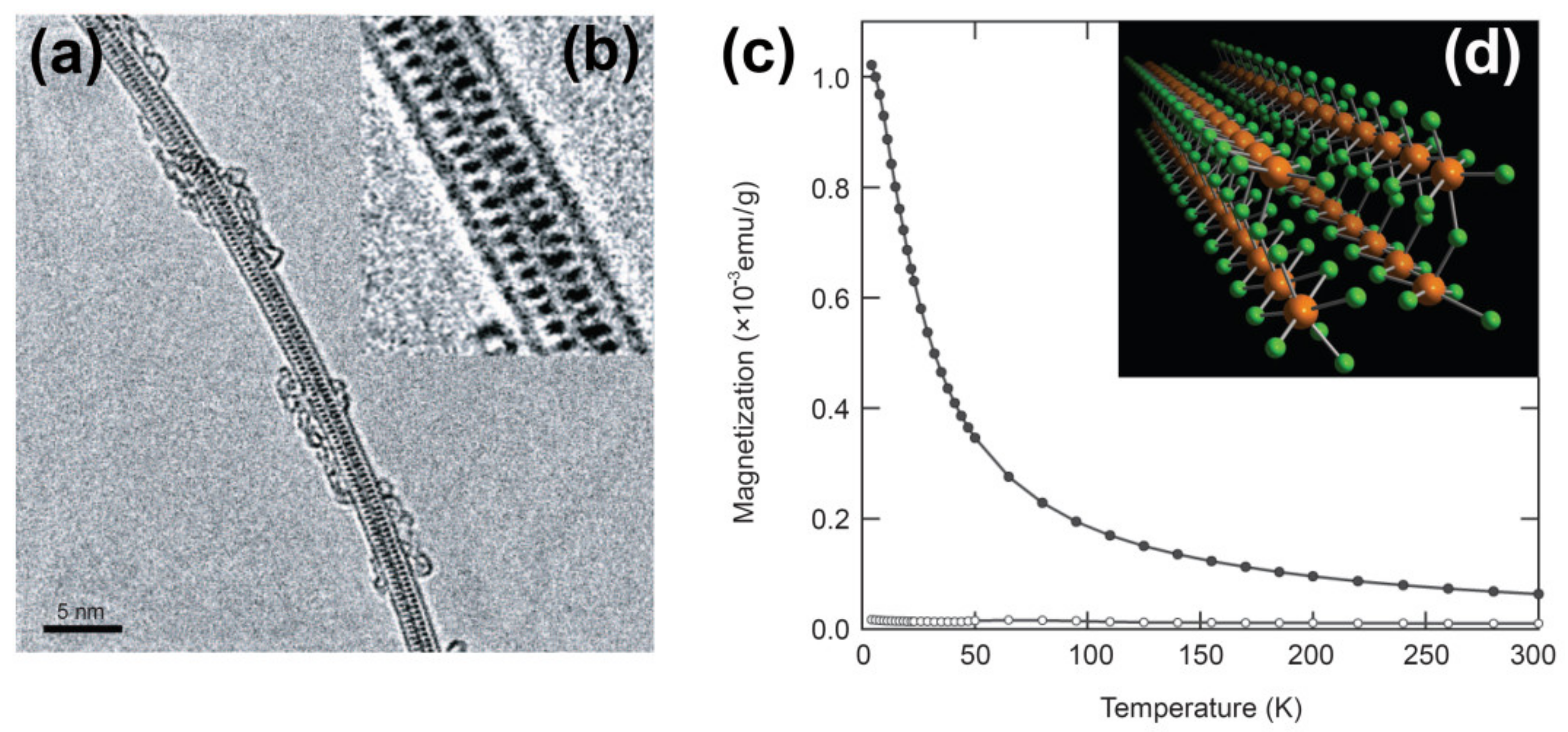 Nanomaterials 11 02863 g002