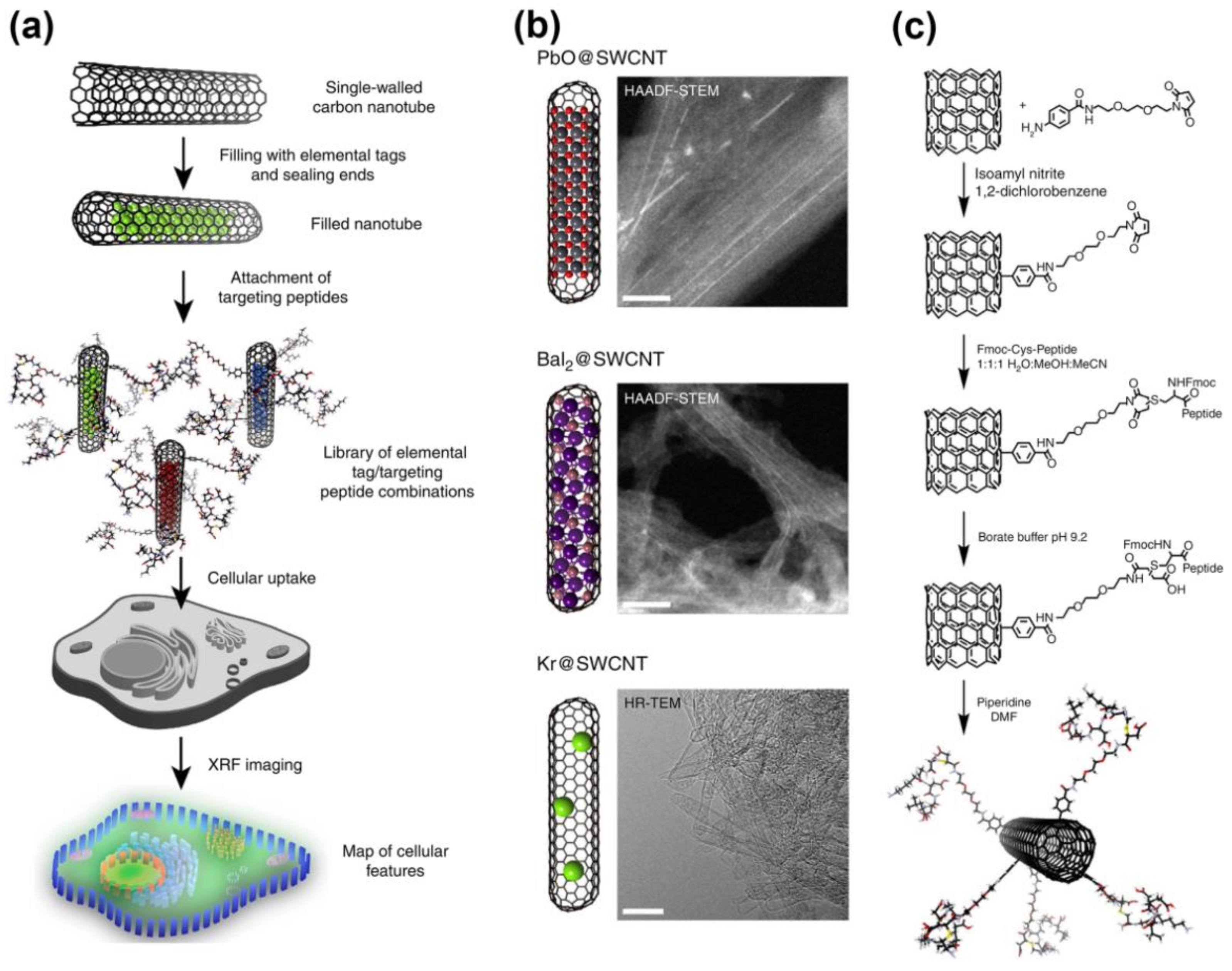 Nanomaterials 11 02863 g003