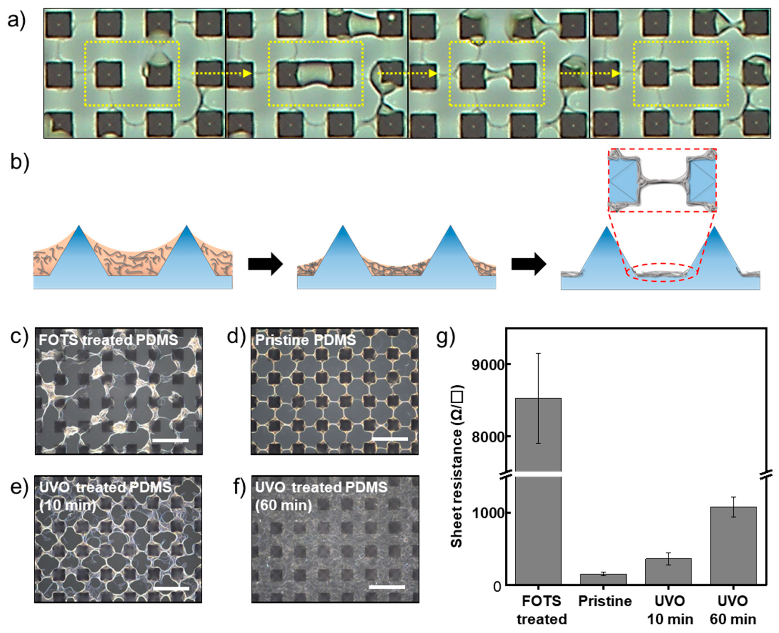 Nanomaterials 11 02865 g002