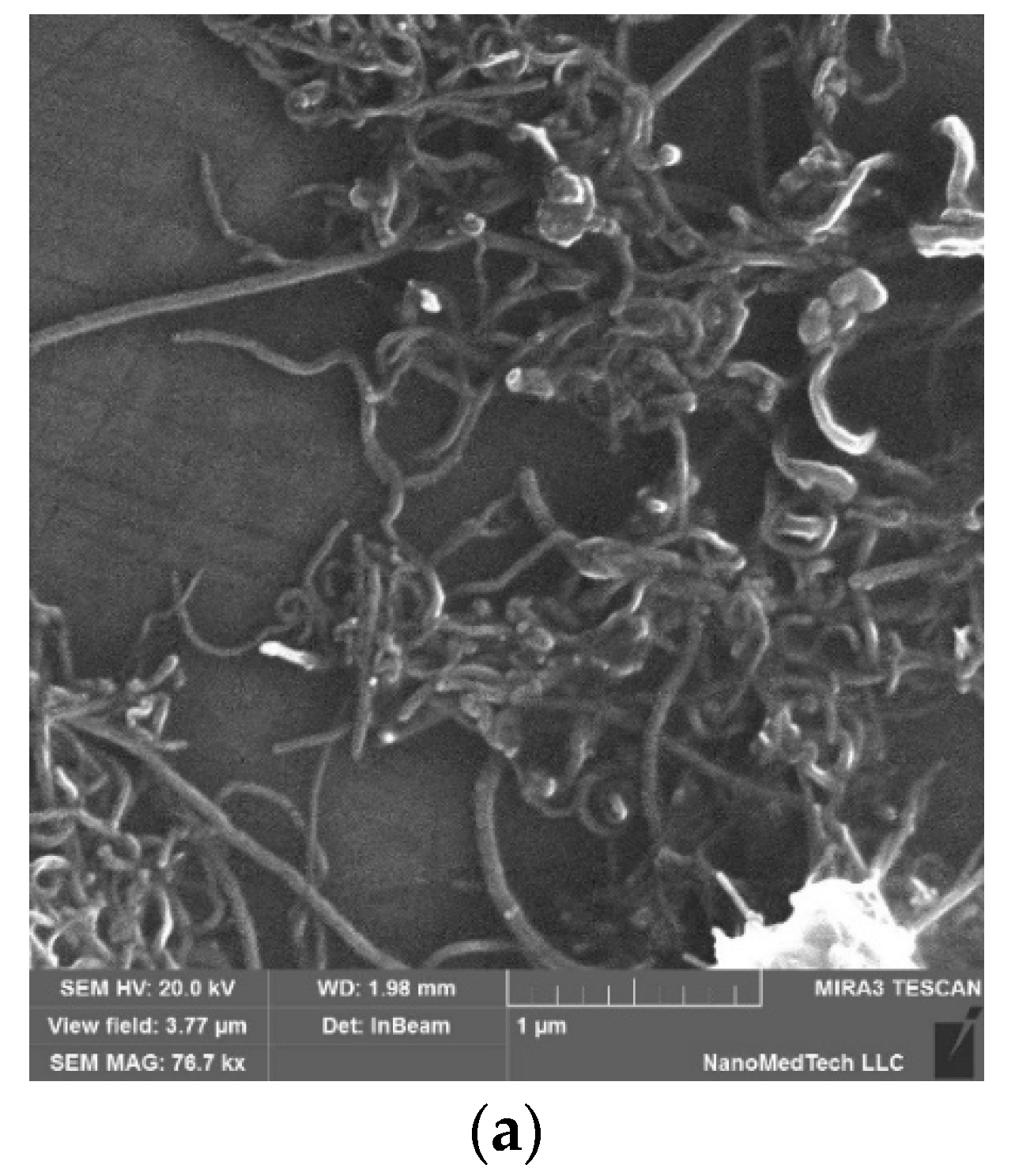 Nanomaterials 11 02873 g001a