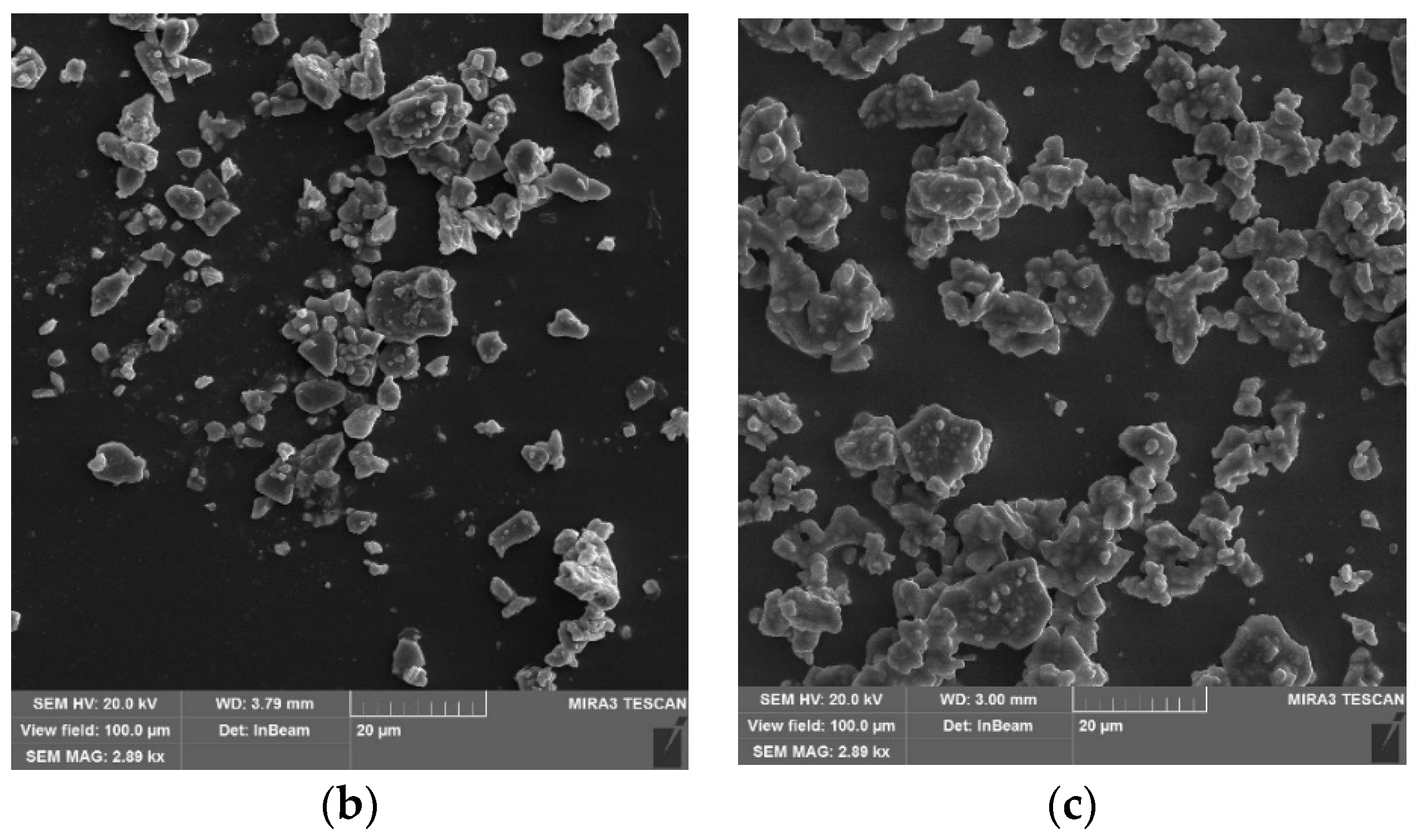 Nanomaterials 11 02873 g001b