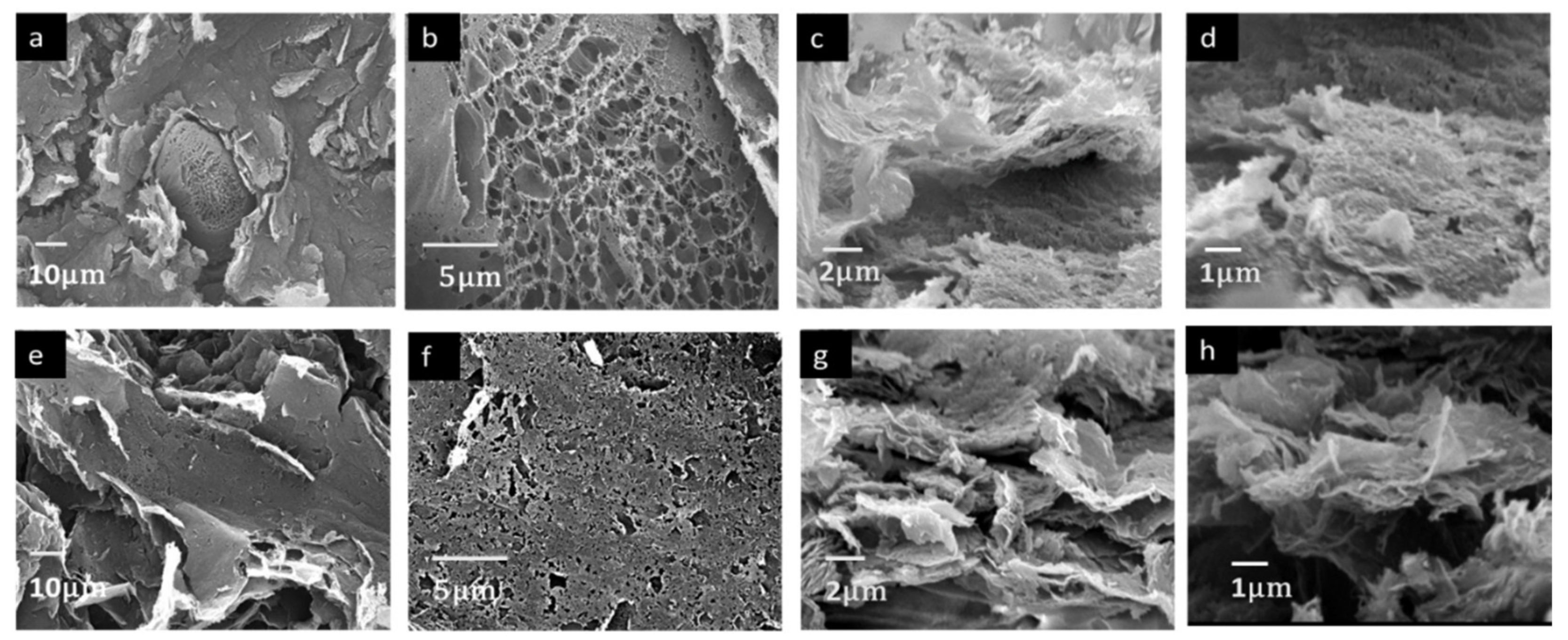 Nanomaterials 11 02874 g004
