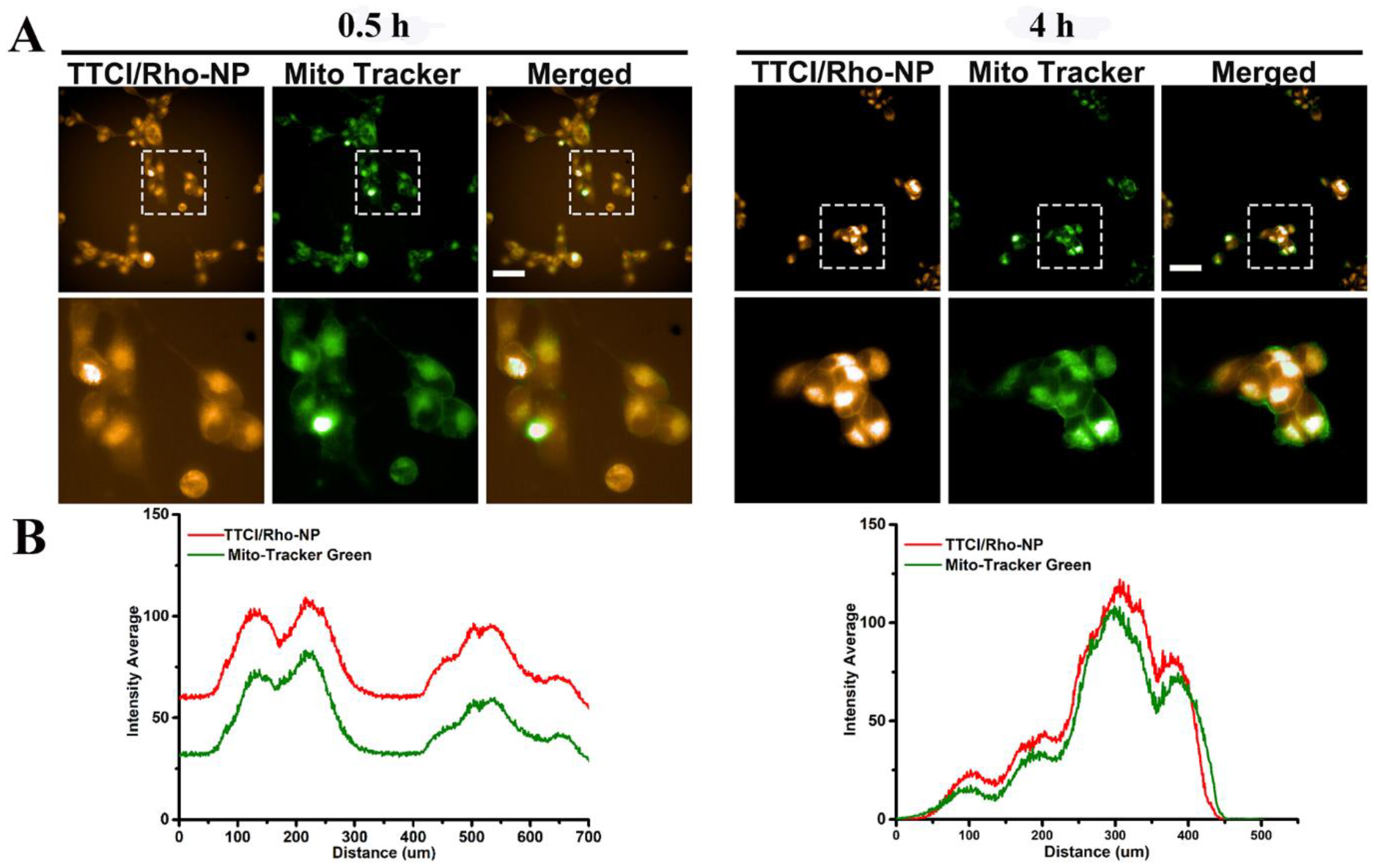 Nanomaterials 11 02875 g003
