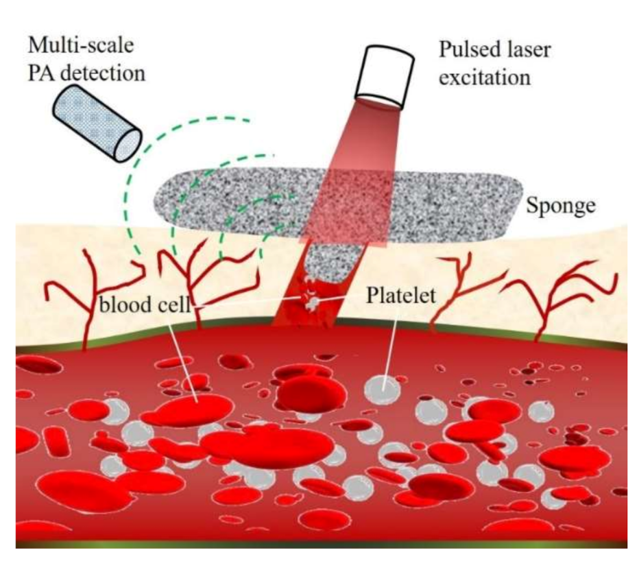 Nanomaterials 11 02879 g001