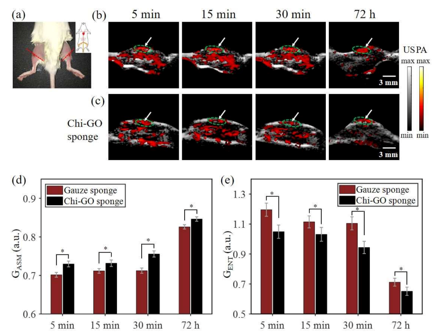 Nanomaterials 11 02879 g006