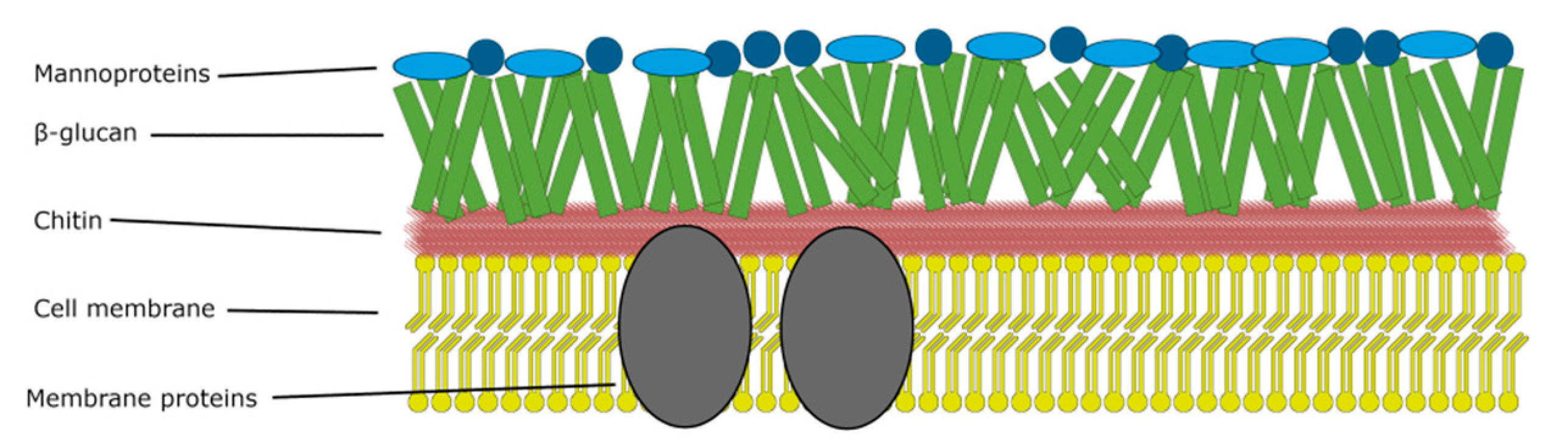 Nanomaterials 11 02883 g001