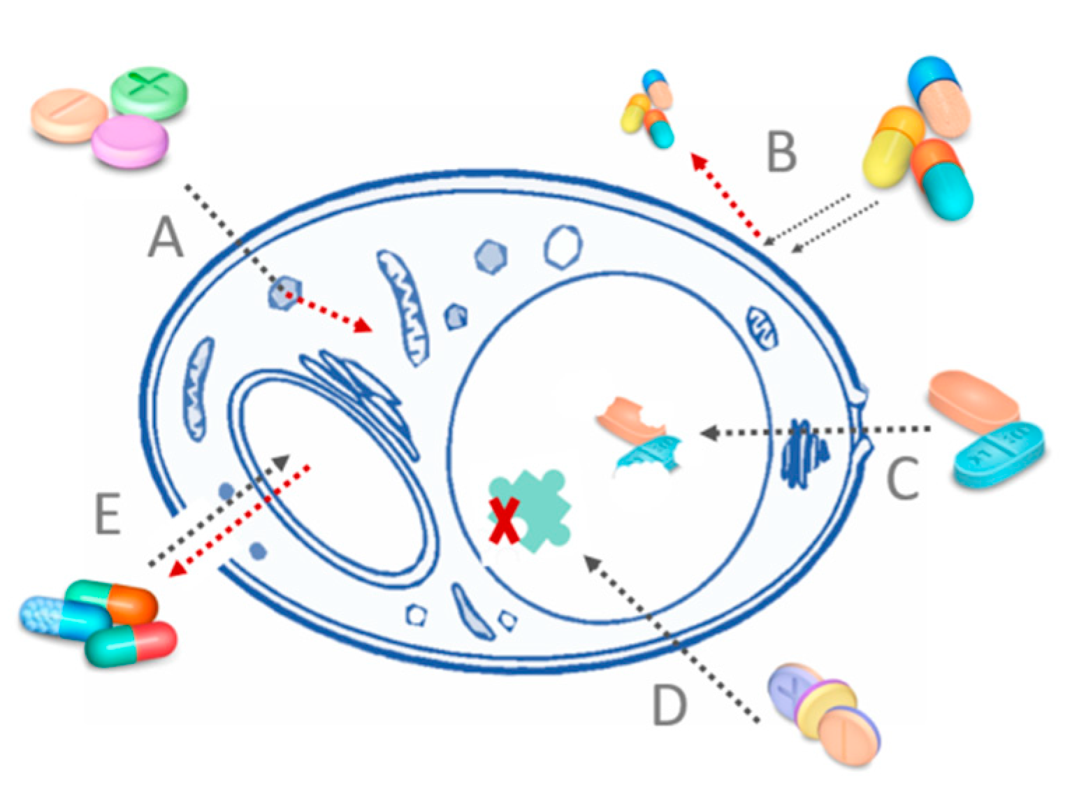 Nanomaterials 11 02883 g002