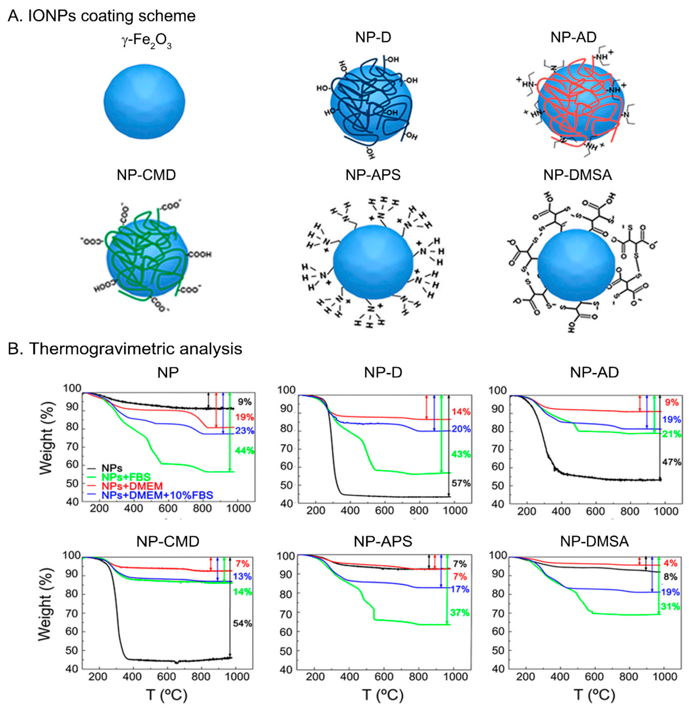 Nanomaterials 11 02888 g001