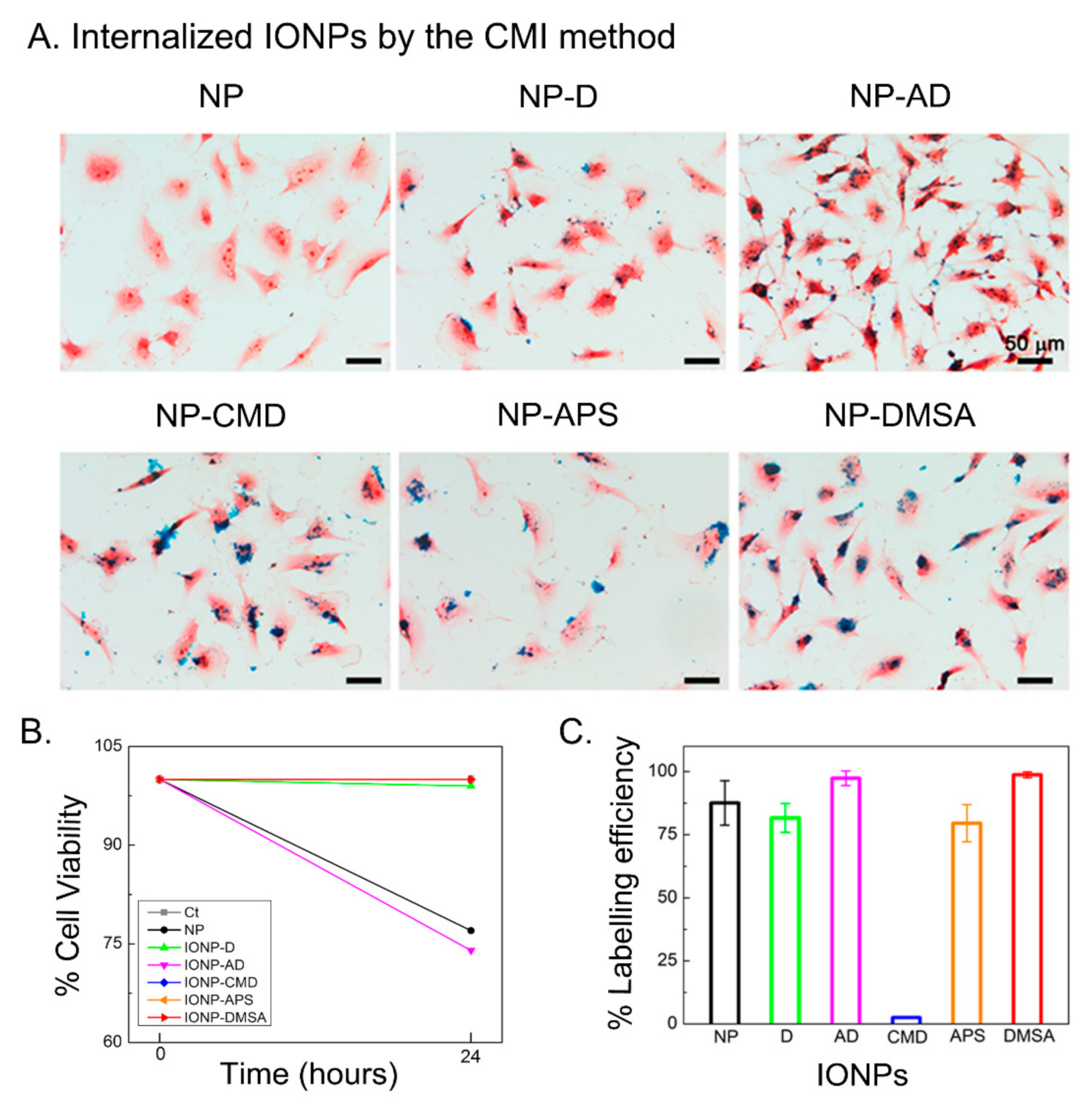Nanomaterials 11 02888 g002
