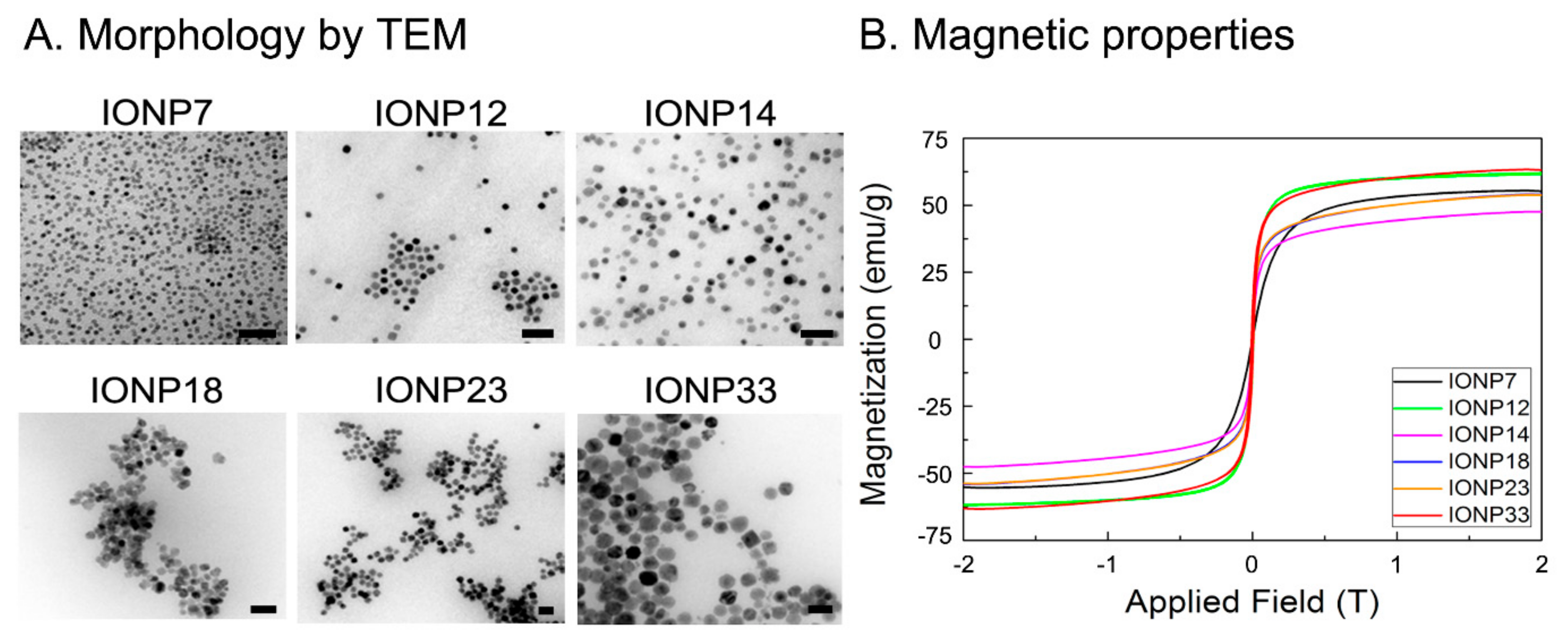 Nanomaterials 11 02888 g003