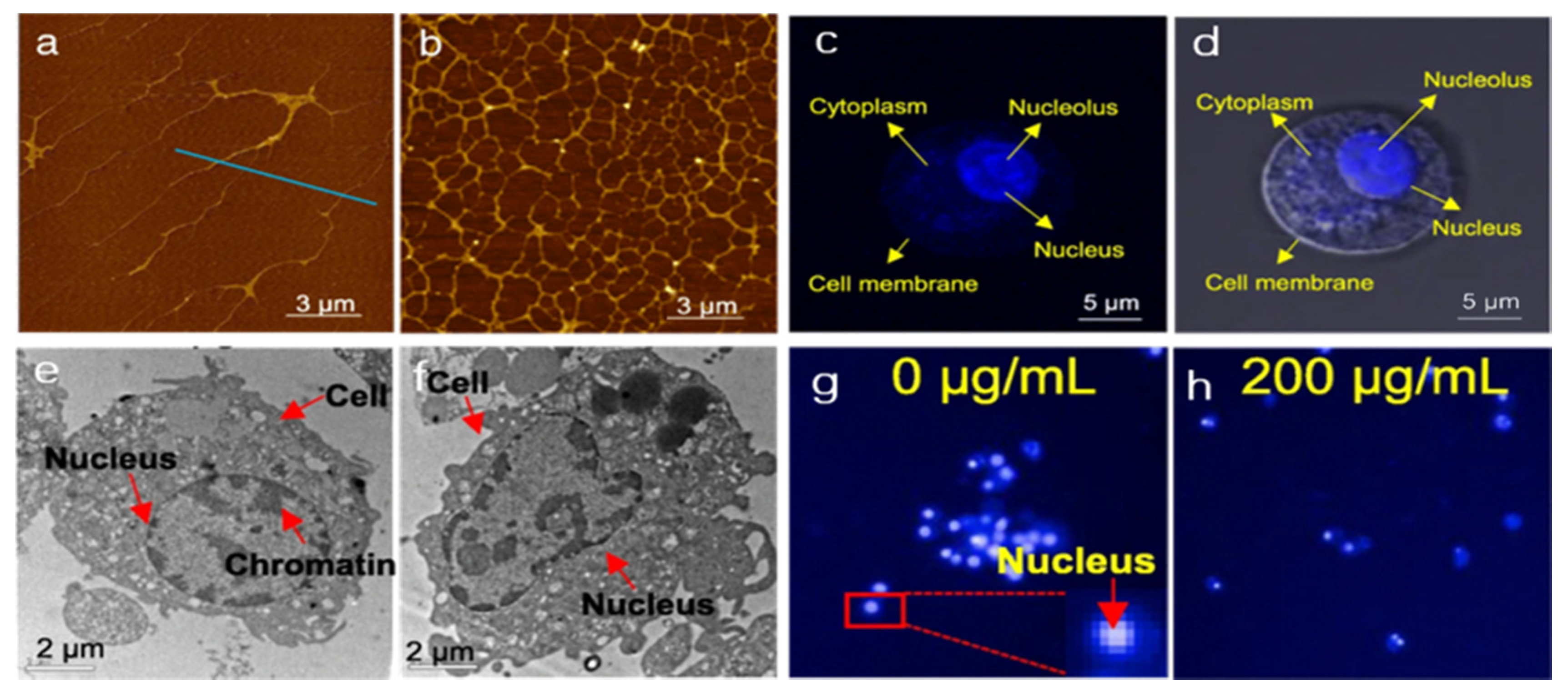 Nanomaterials 11 02889 g002