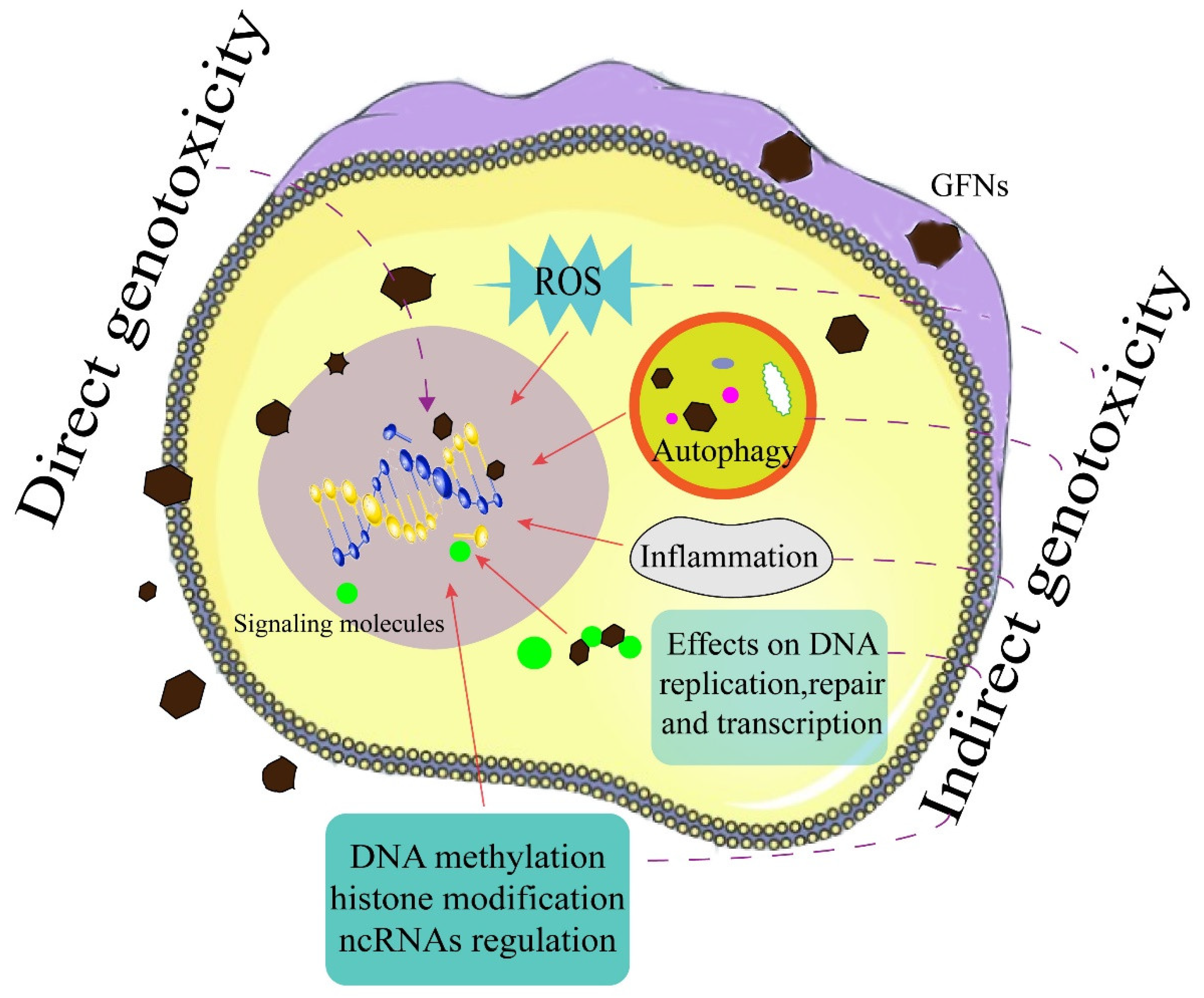 ステラ 楽天市場】STELLA McCARTNEY KIDS ステラマッカートニー キッズ
