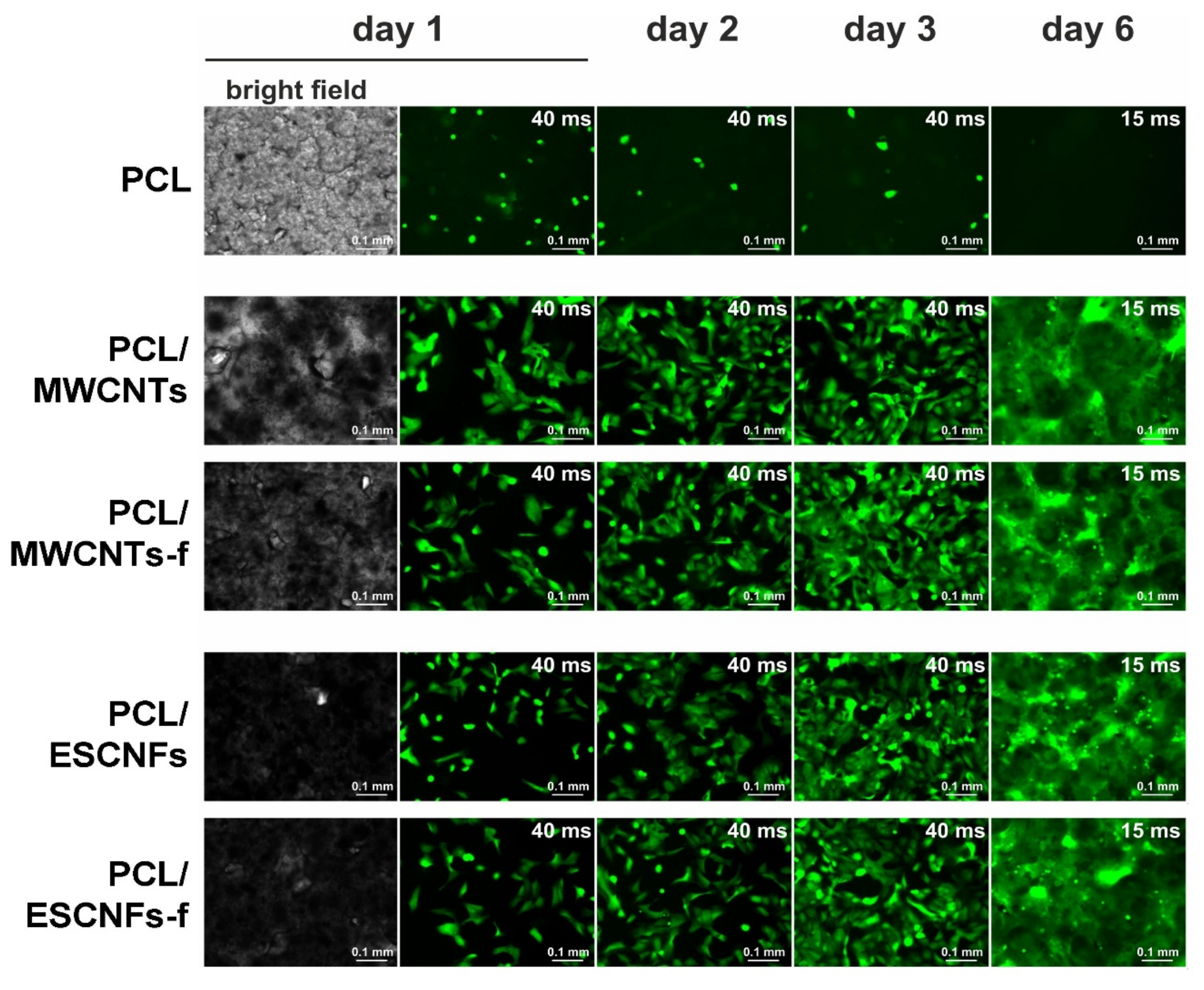 Nanomaterials 11 02890 g003