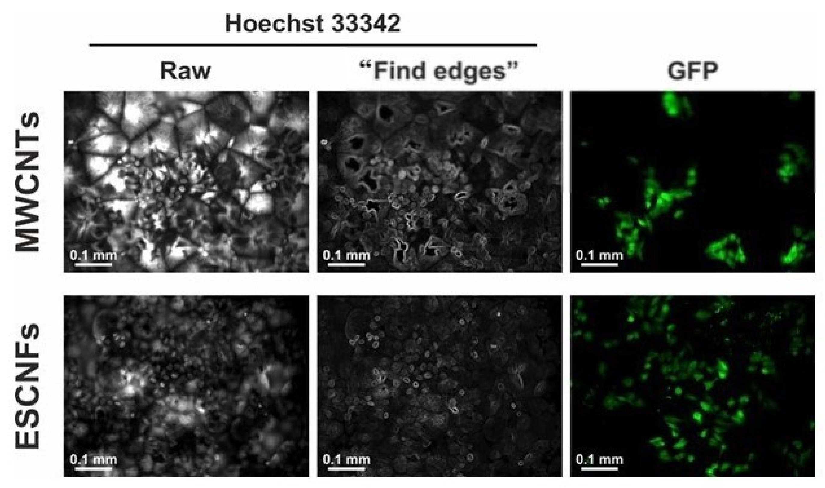 Nanomaterials 11 02890 g009