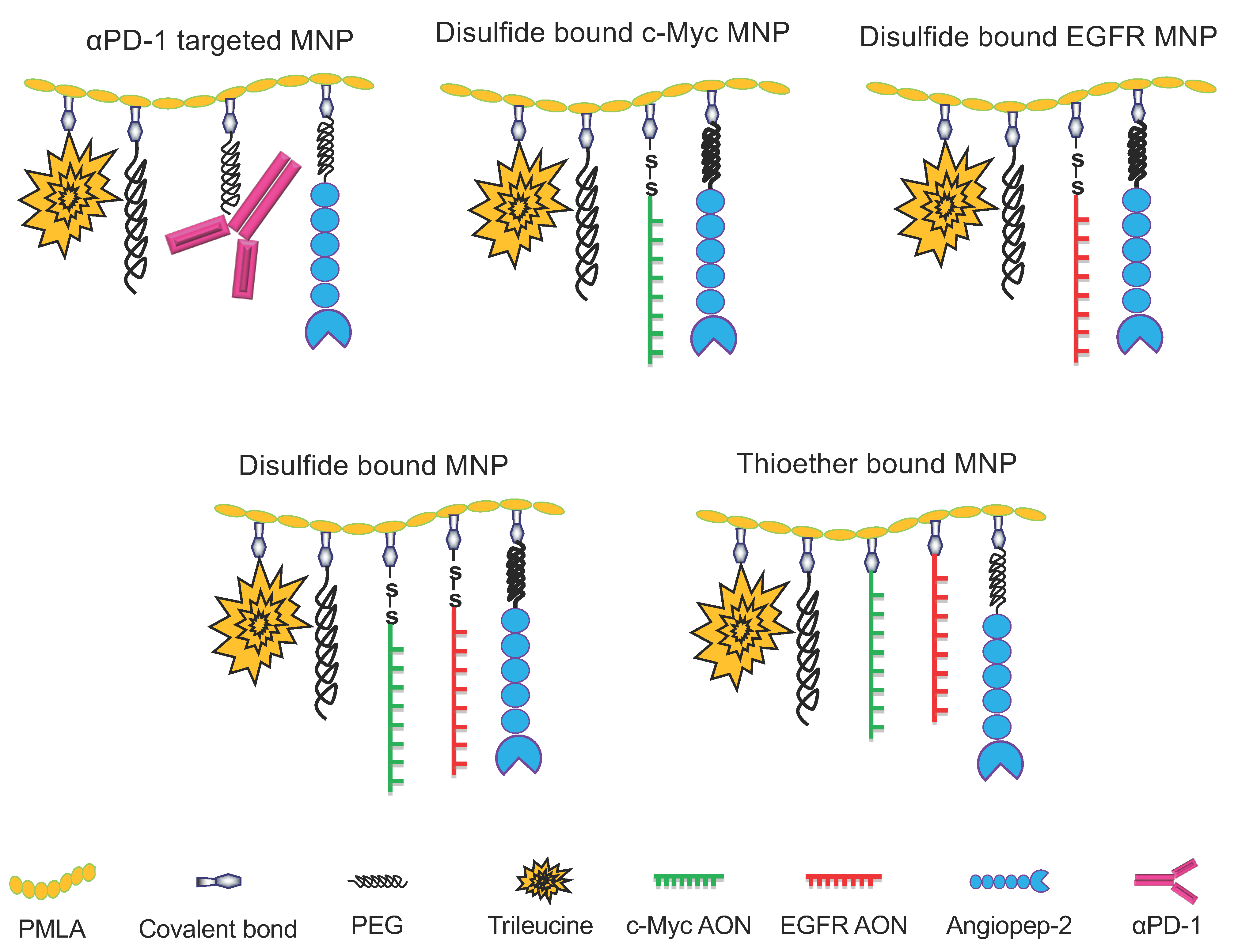 Nanomaterials 11 02892 g001