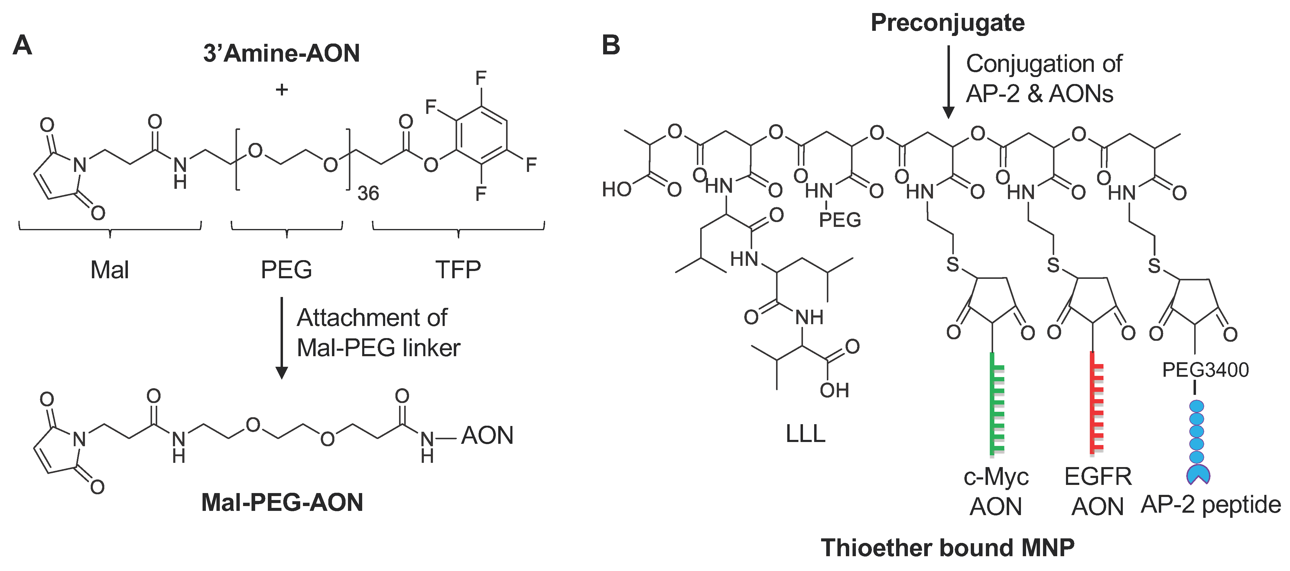 Nanomaterials 11 02892 g003