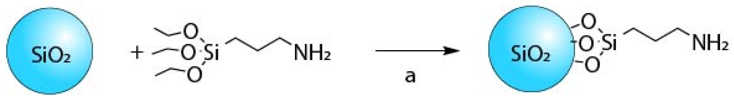 Nanomaterials 11 02893 sch001