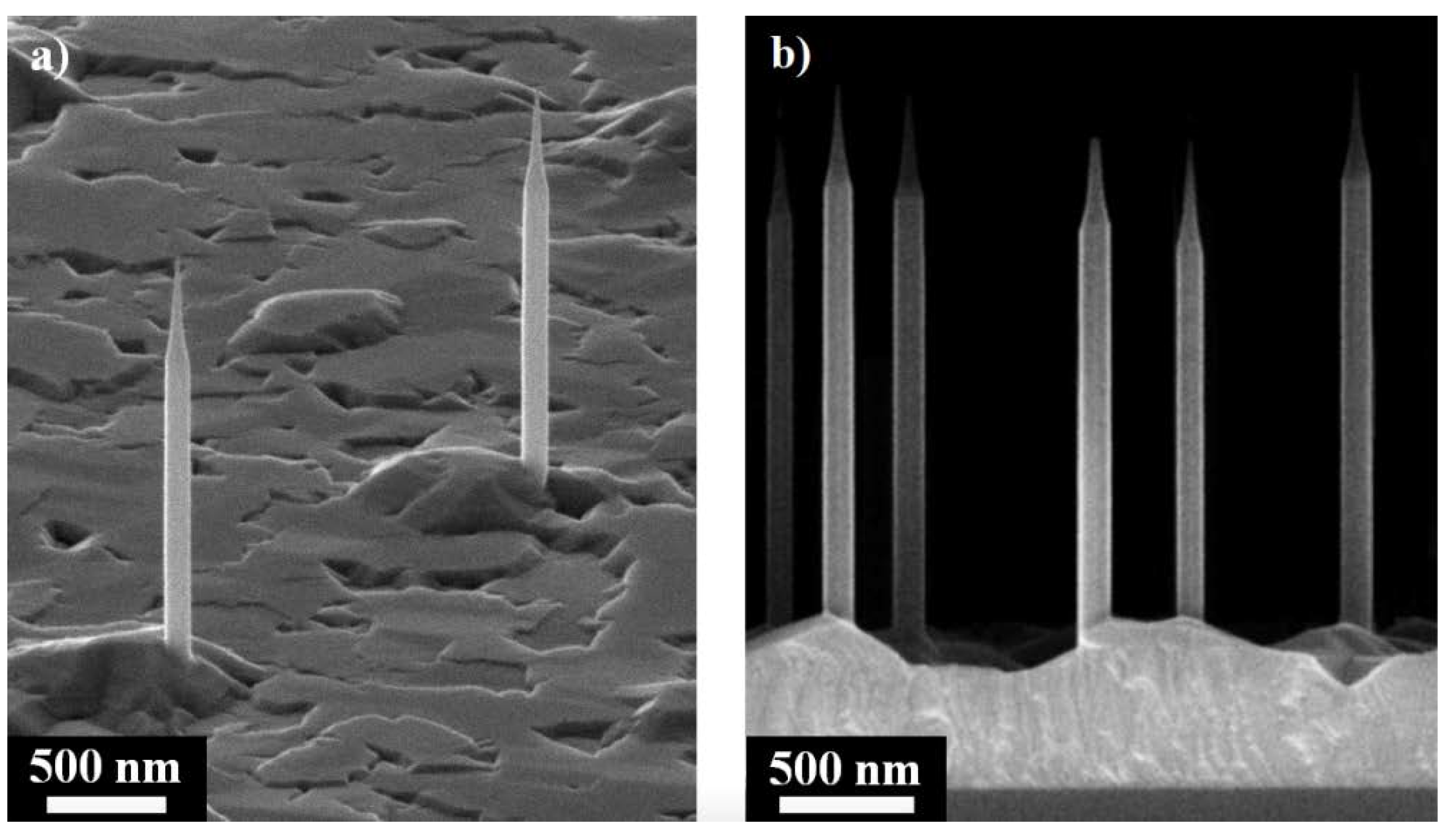Nanomaterials 11 02894 g001a