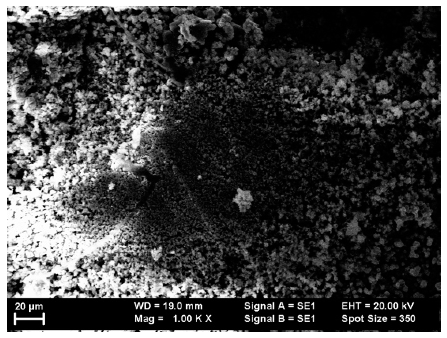 Nanomaterials 11 02898 g002