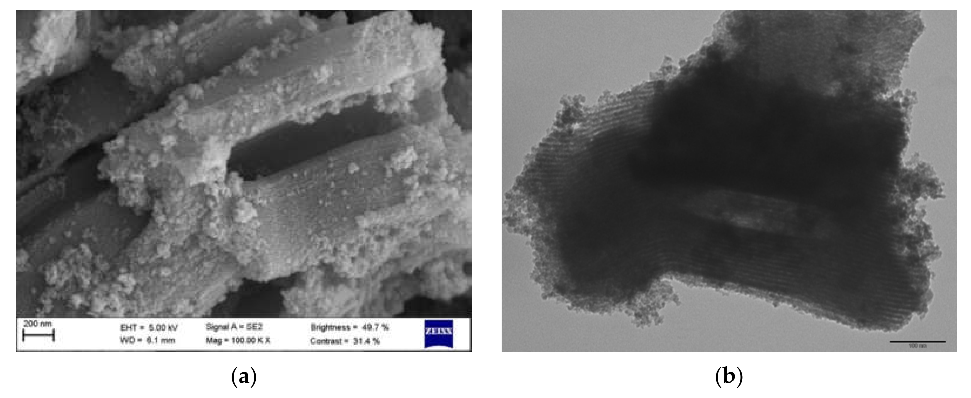 Nanomaterials 11 02902 g001