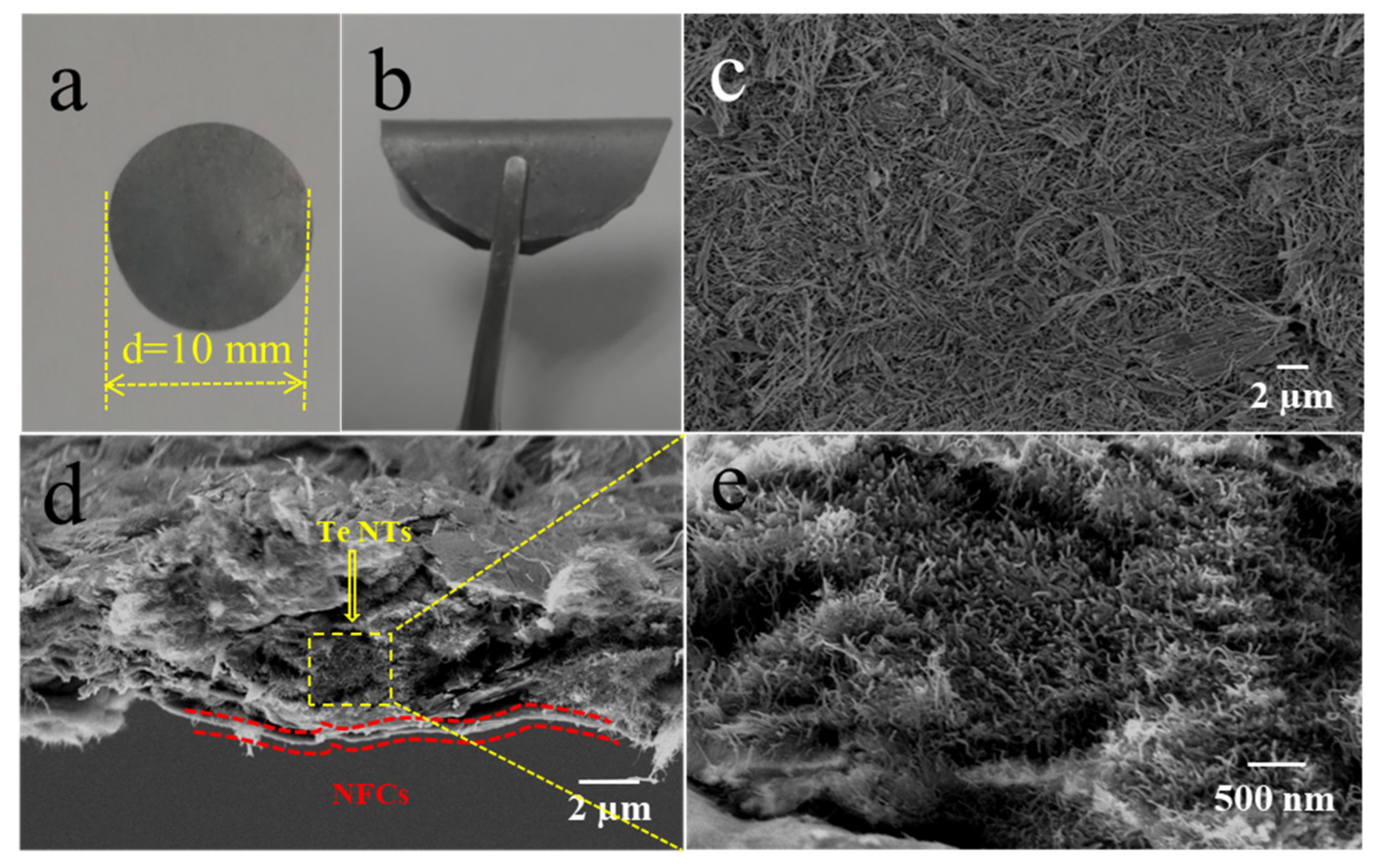 Nanomaterials 11 02903 g003
