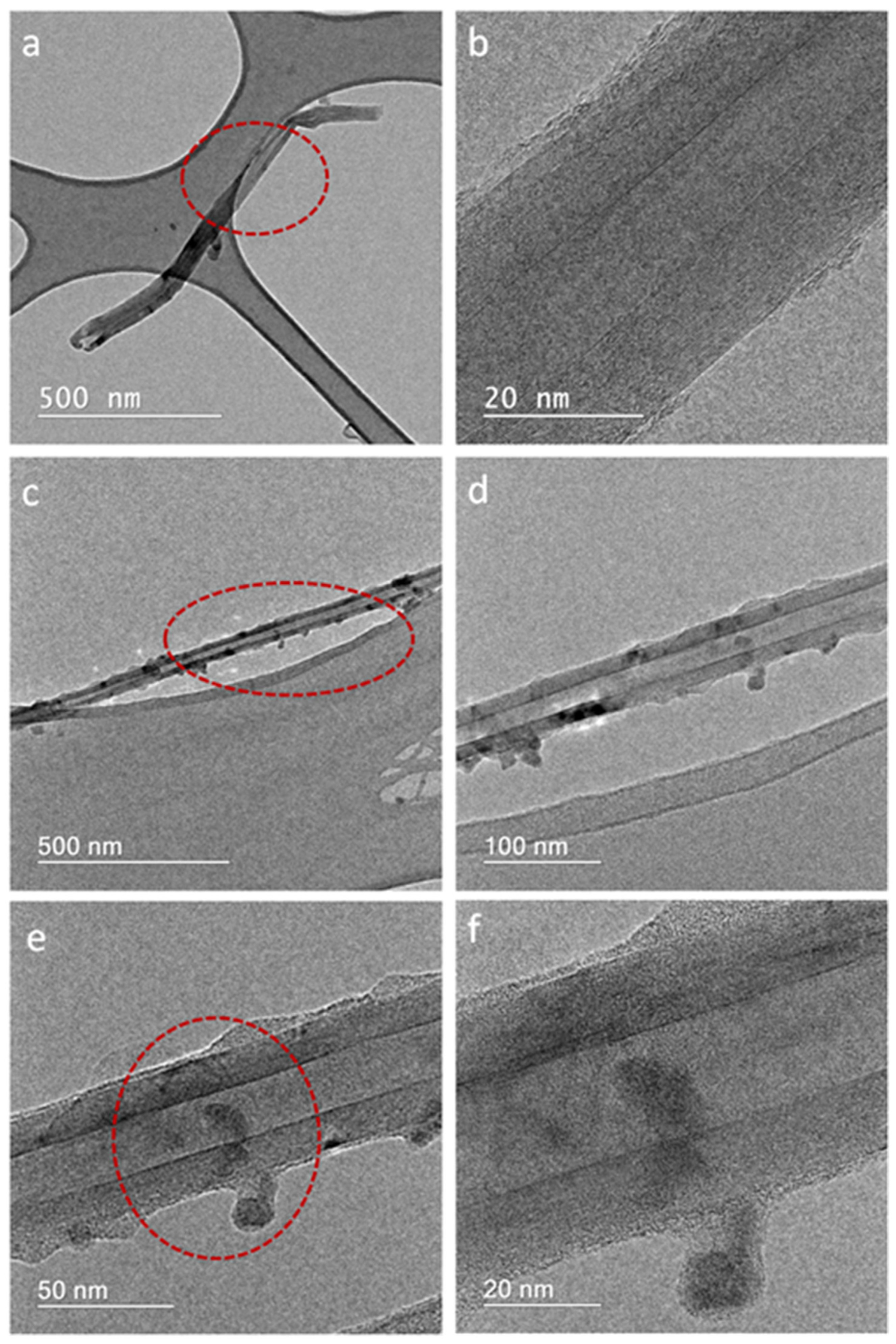 Nanomaterials 11 02907 g008 550
