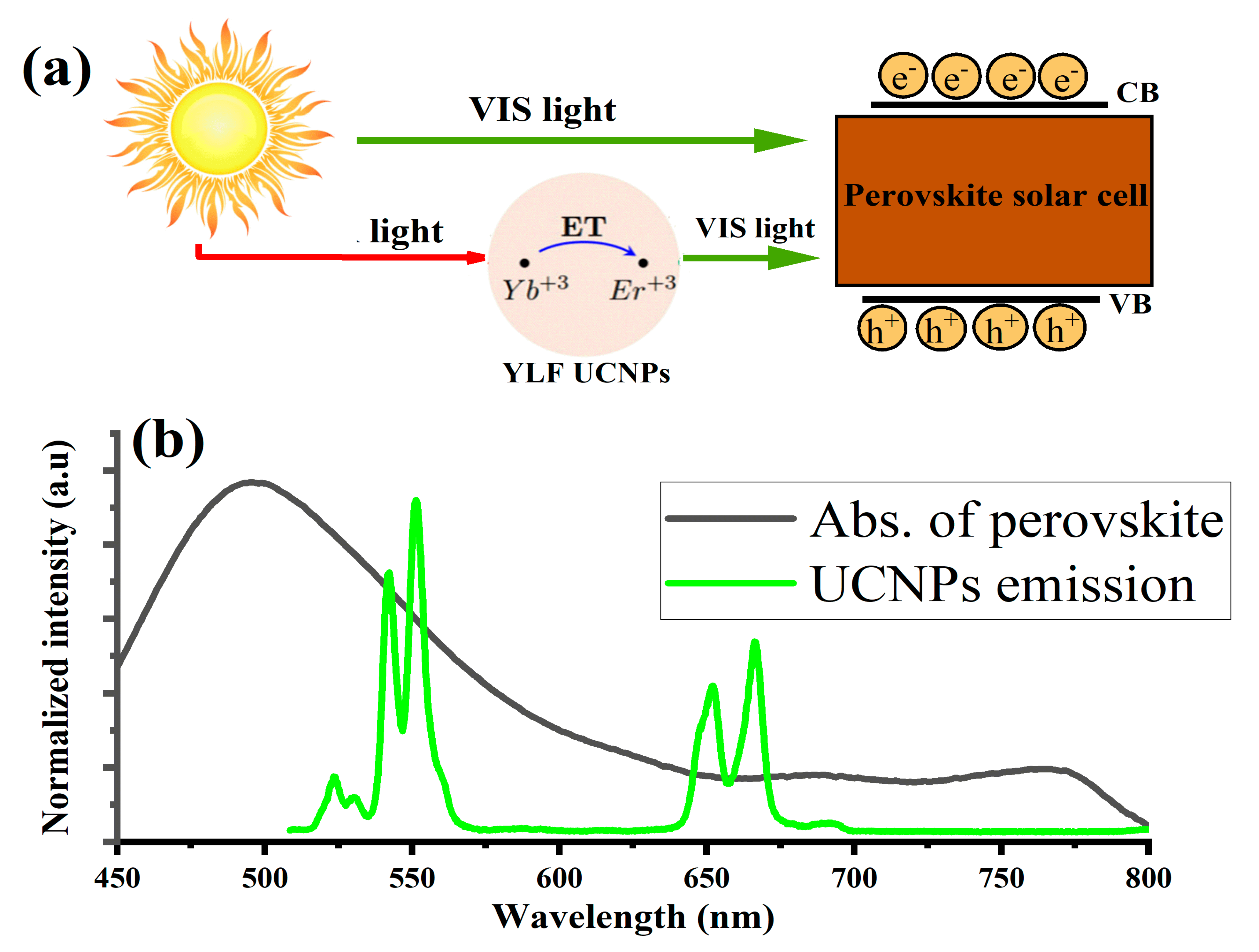 Nanomaterials 11 02909 g002