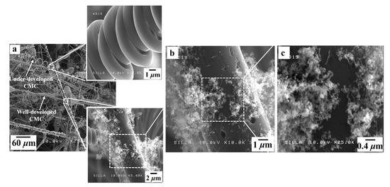 Enhancement in Electromagnetic Wave Shielding Effectiveness