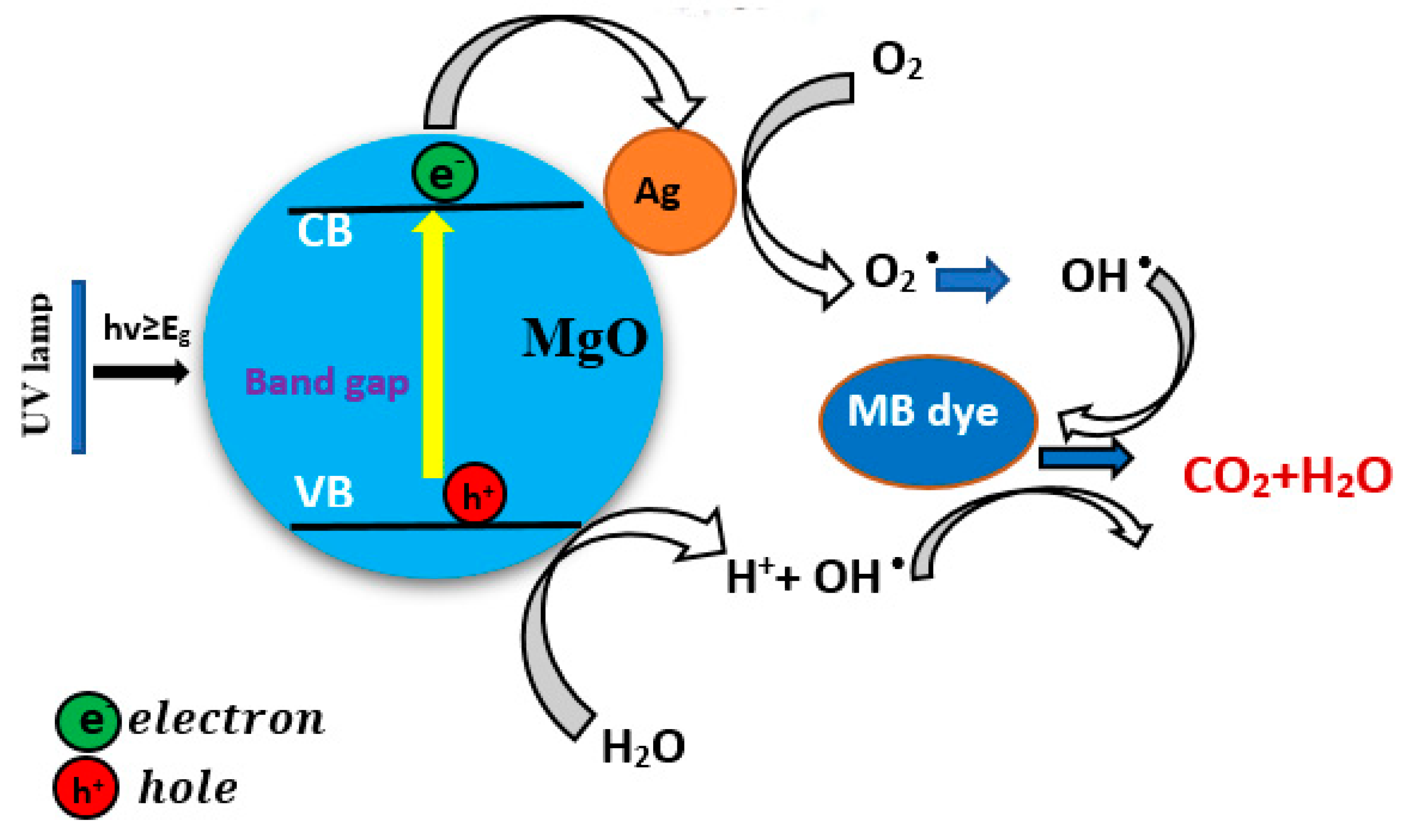 Nanomaterials 11 02915 g011
