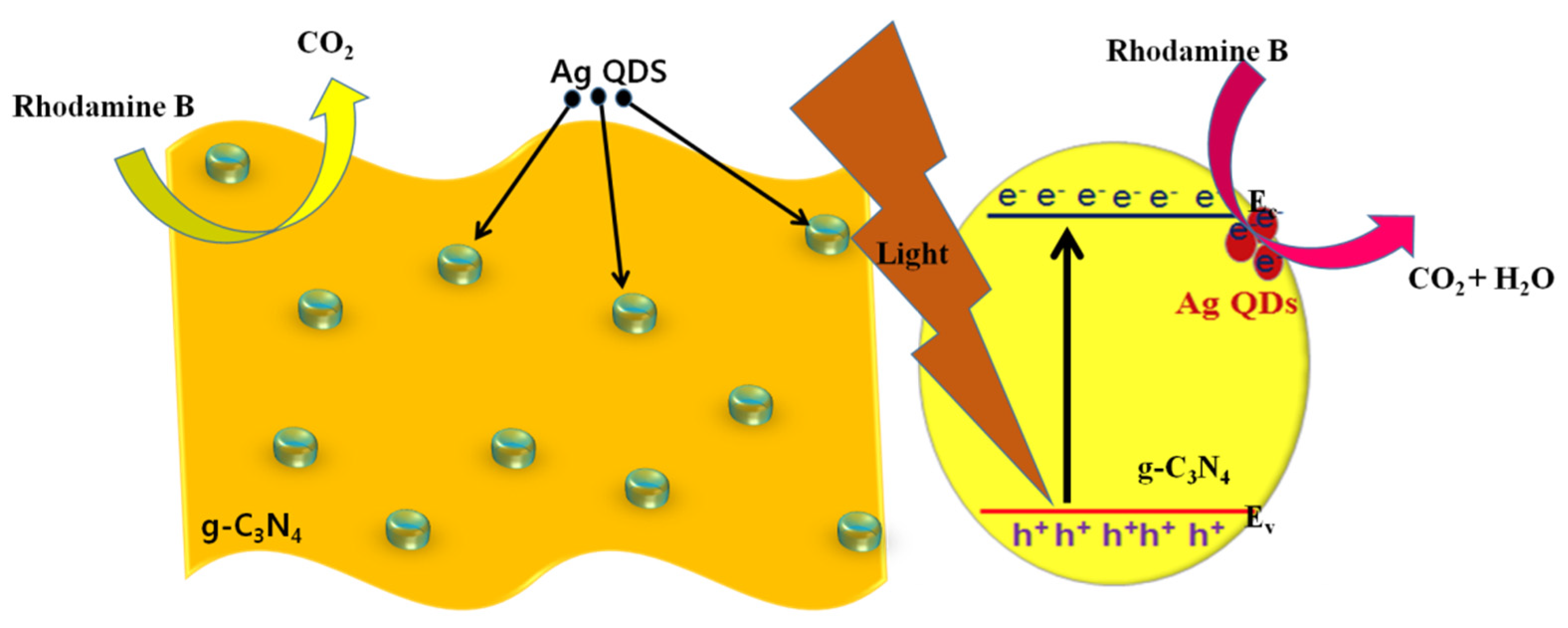 Nanomaterials 11 02918 g012