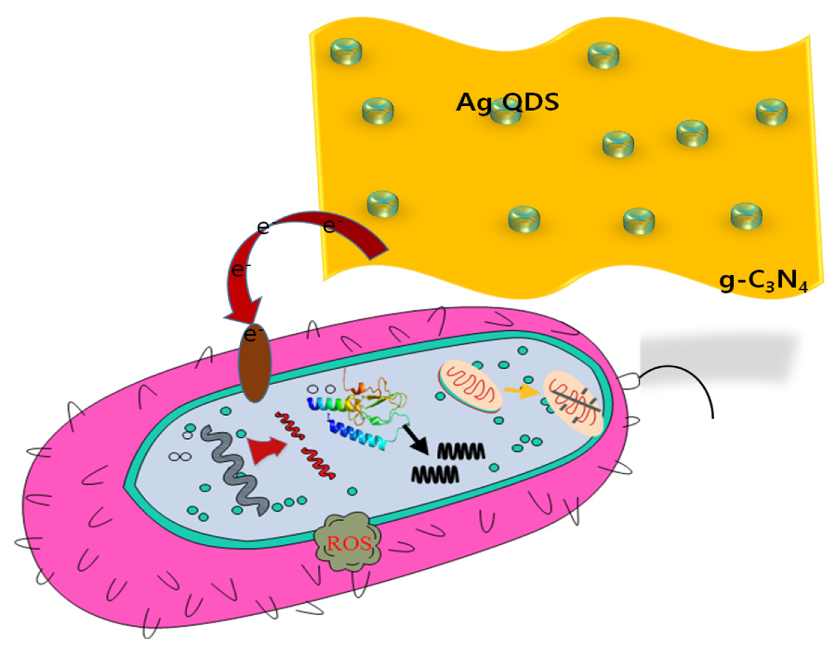 Nanomaterials 11 02918 g013