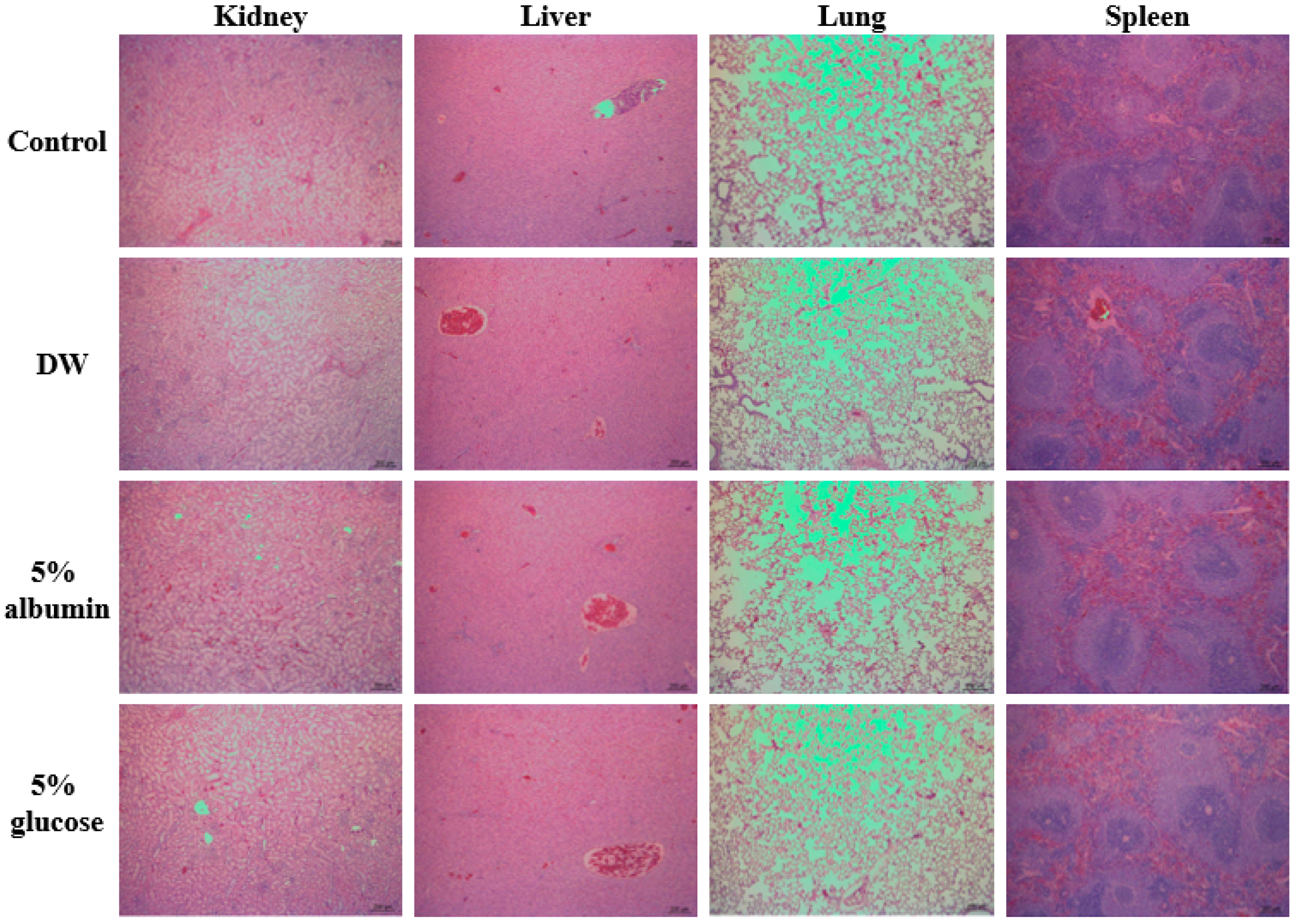 Nanomaterials 11 02922 g010