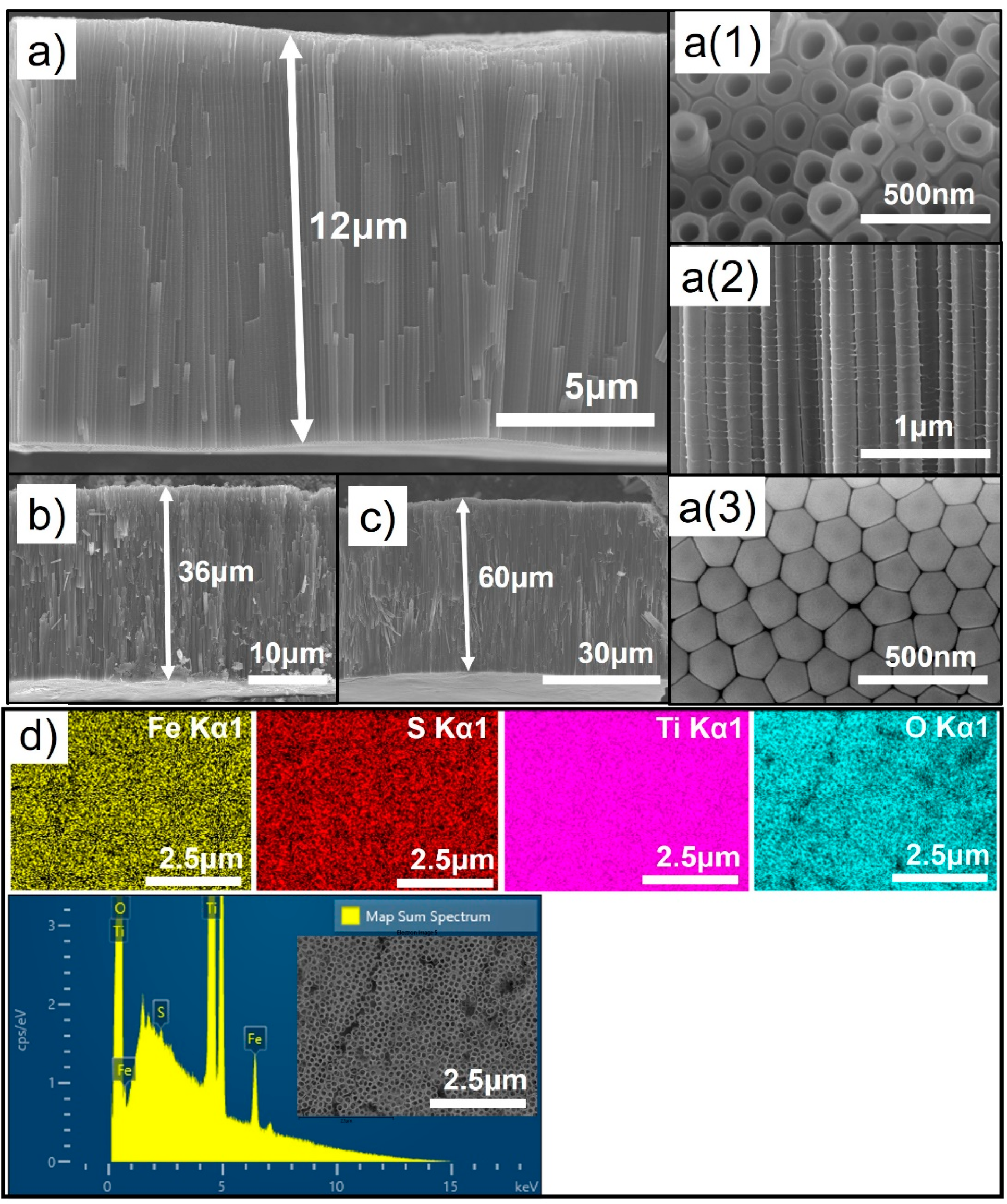Nanomaterials 11 02924 g002