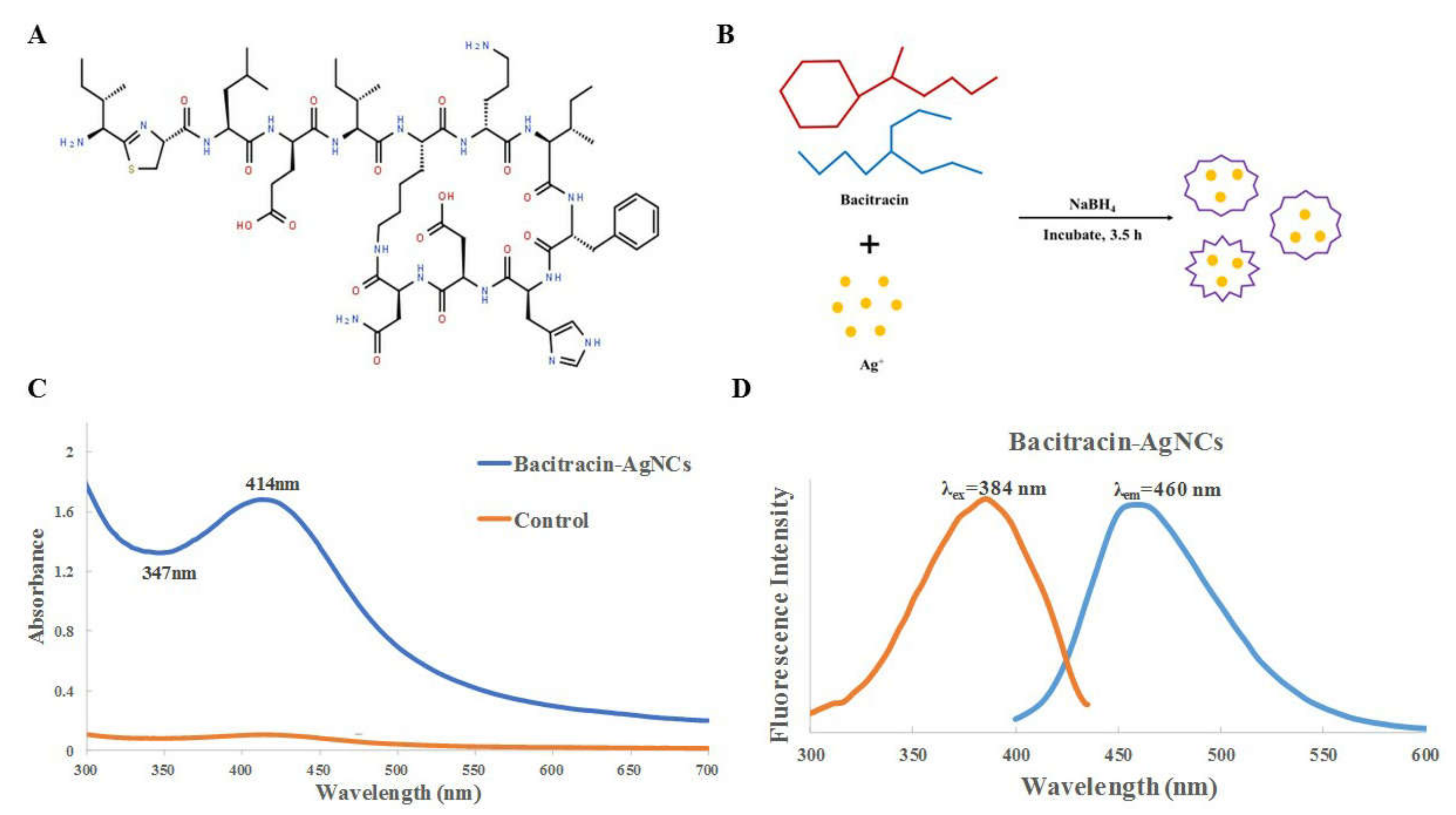 Nanomaterials 11 02928 g001