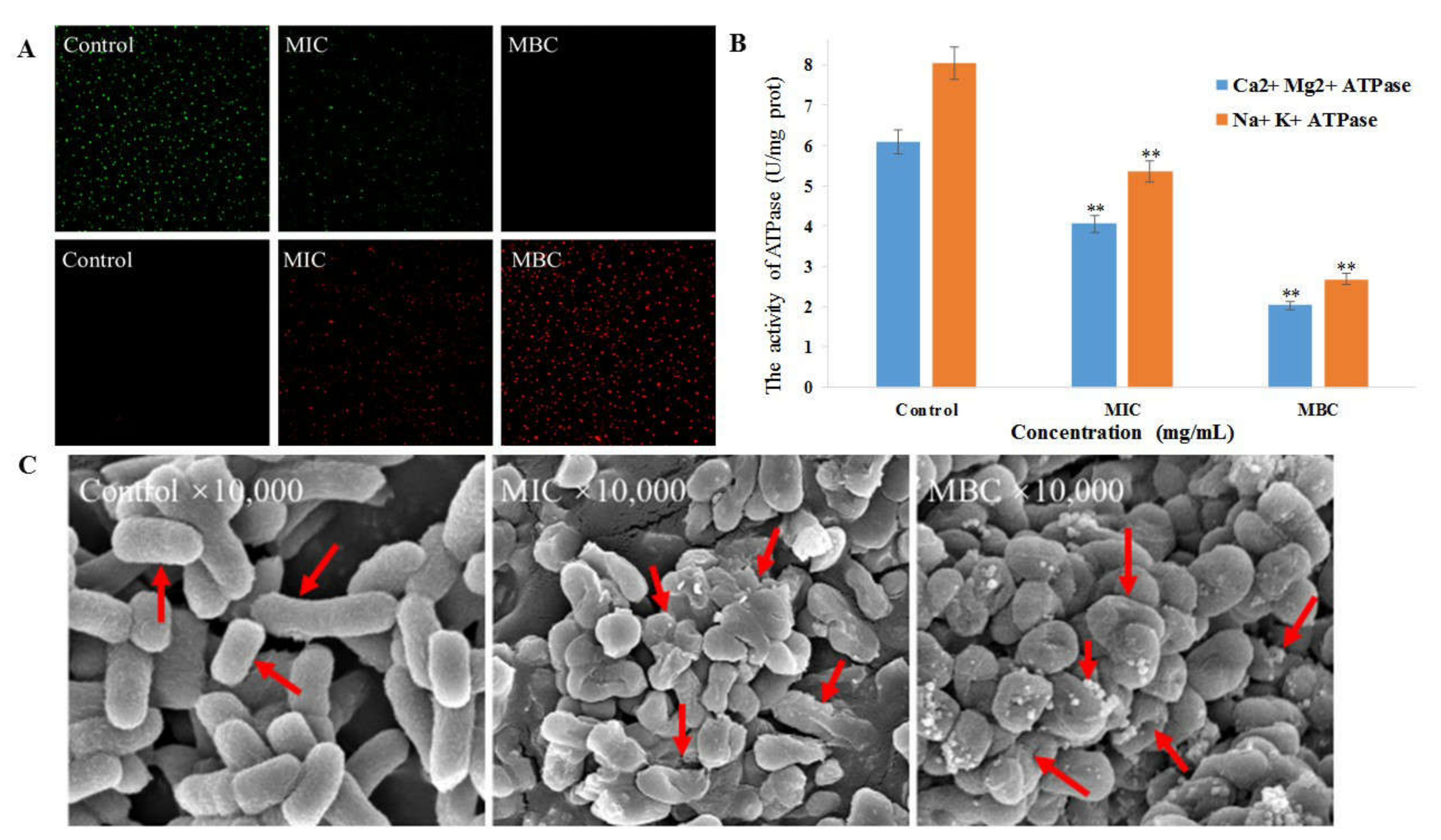 Nanomaterials 11 02928 g005