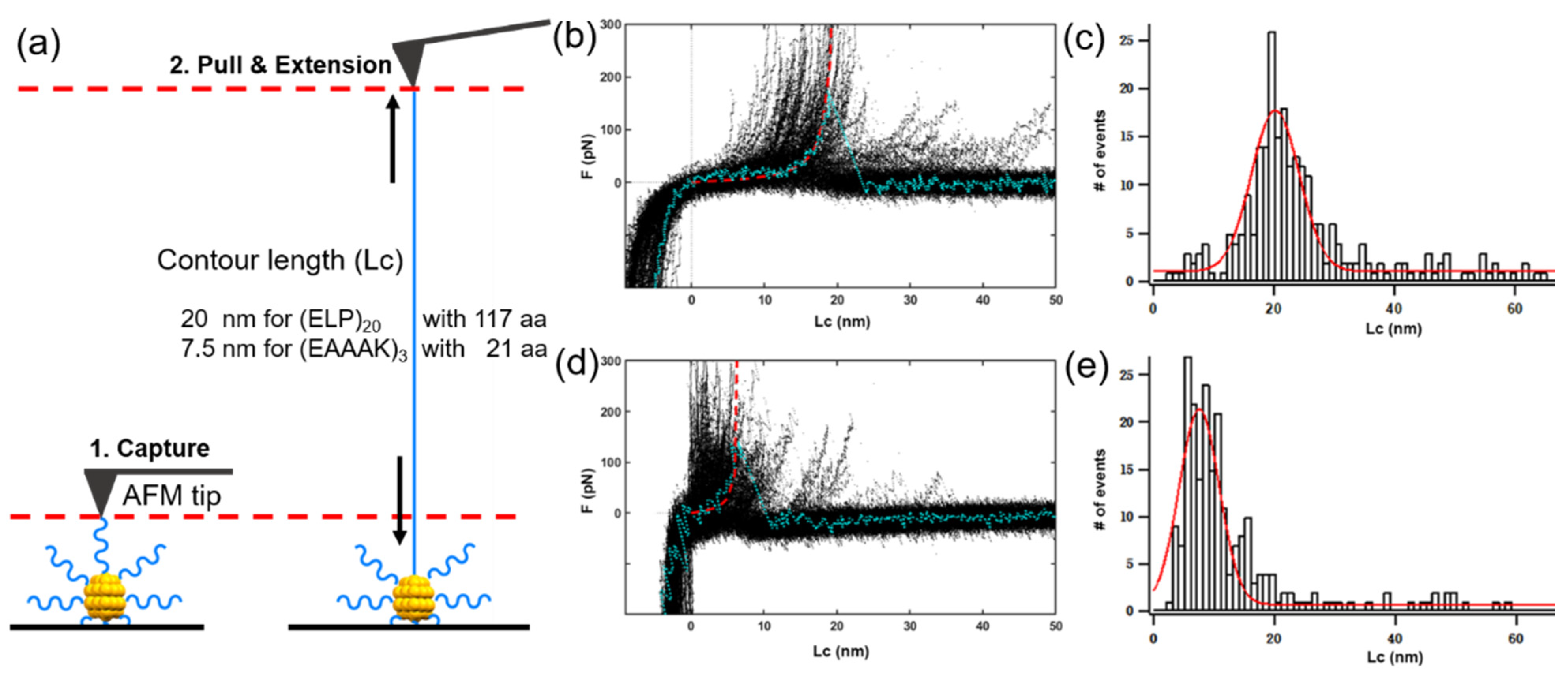 Nanomaterials 11 02932 g006